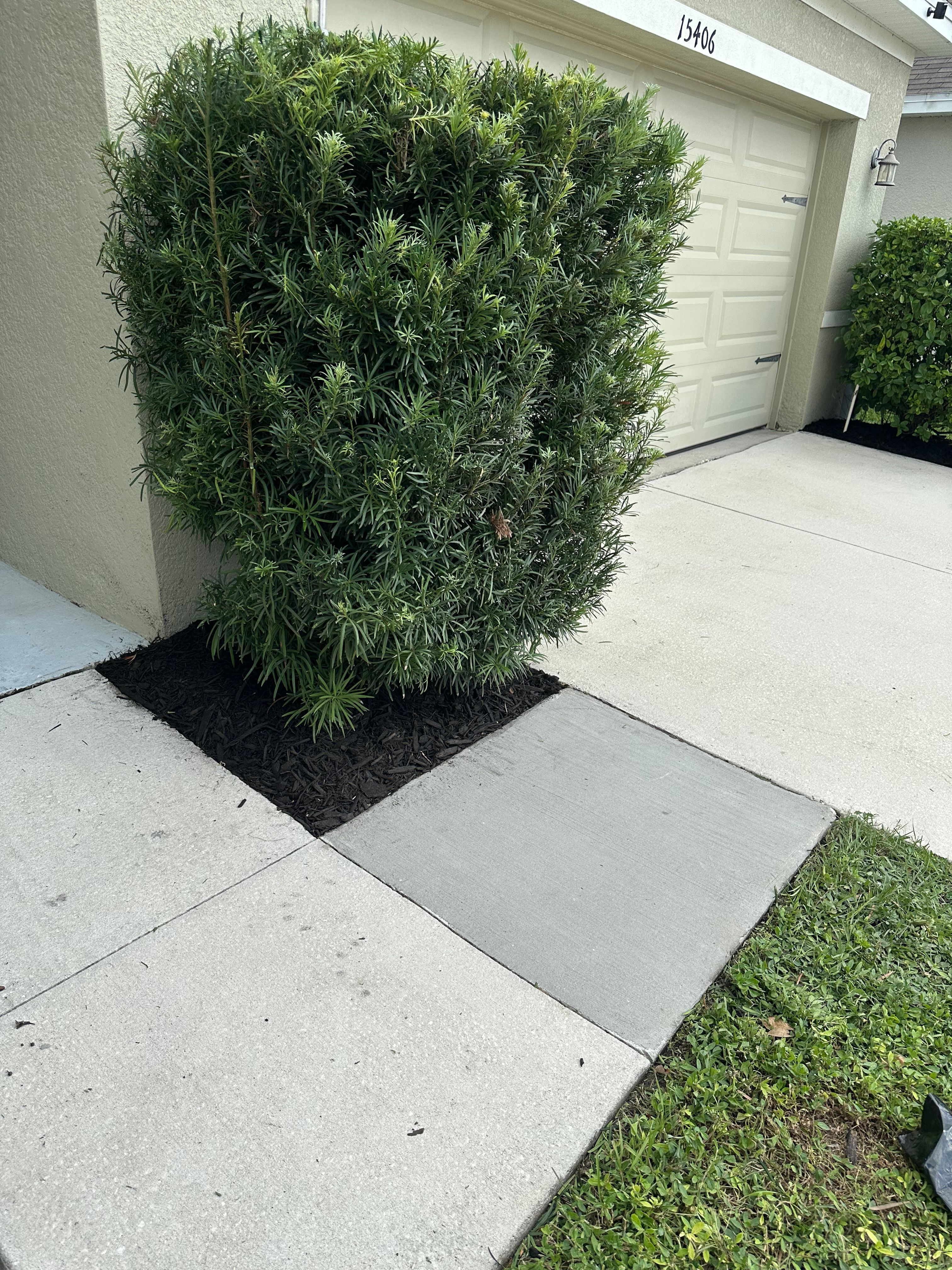 for The Yardman in Tampa, FL