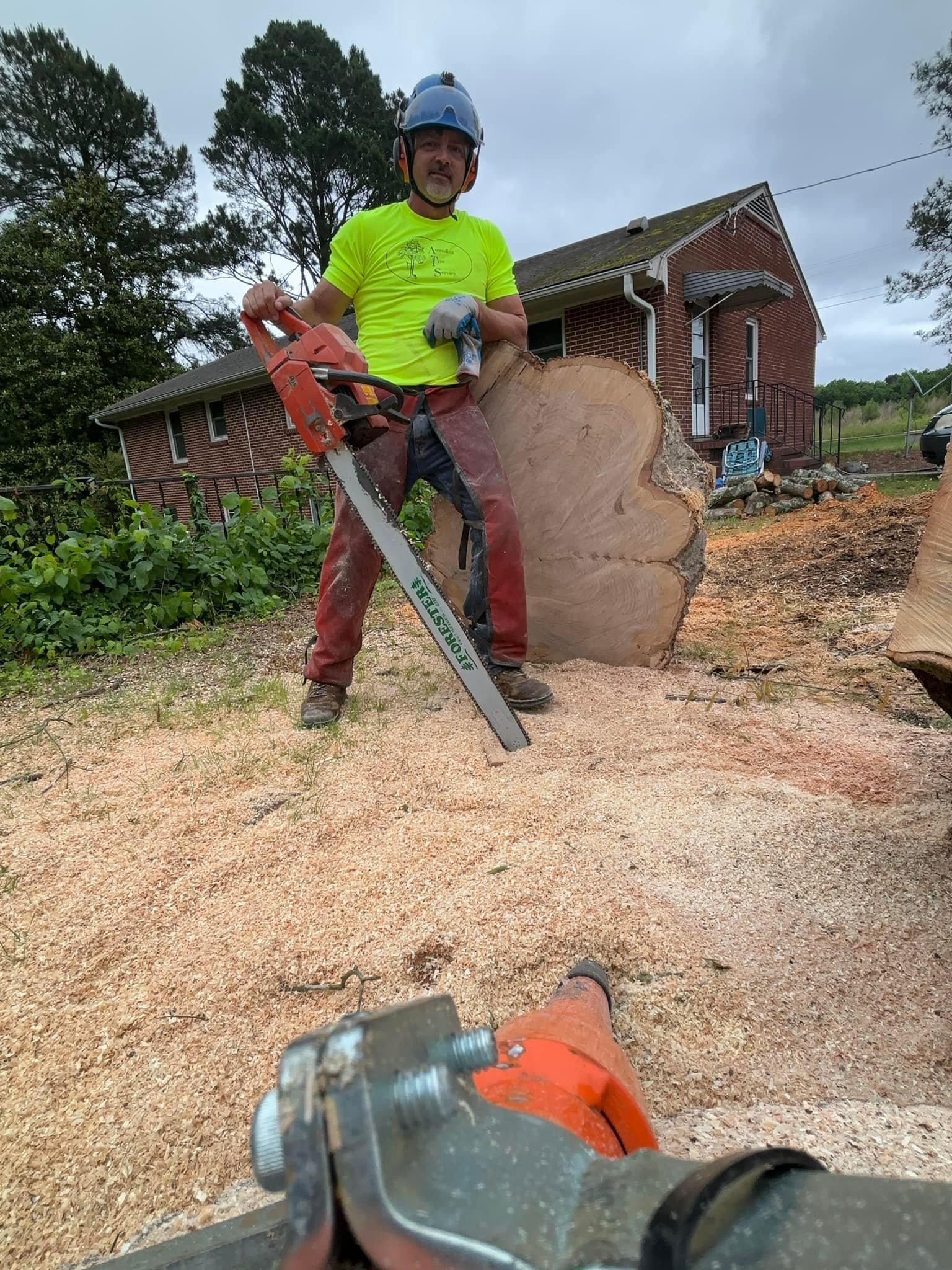  for Ascending Tree Service LLC in Kenbridge, VA