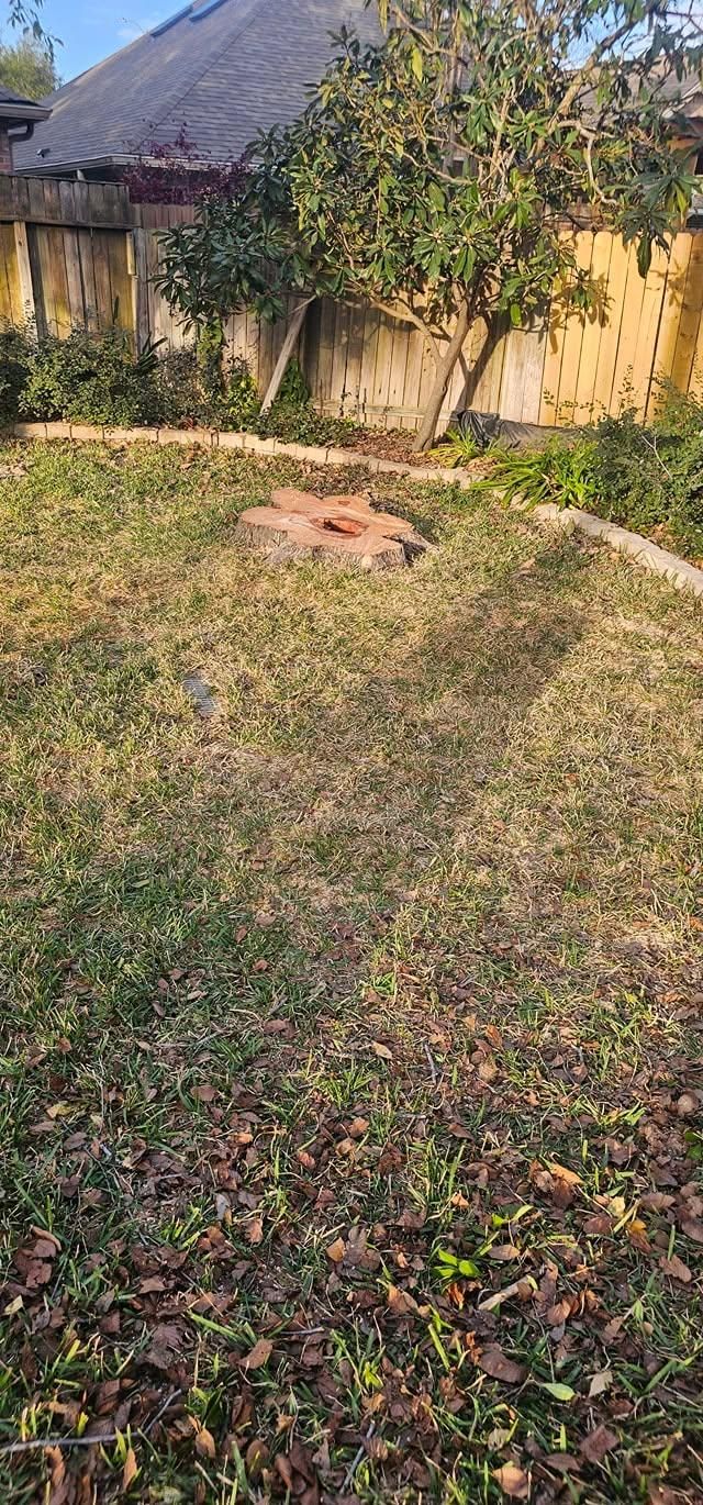  for Servin's Tree Care  in Houston, TX