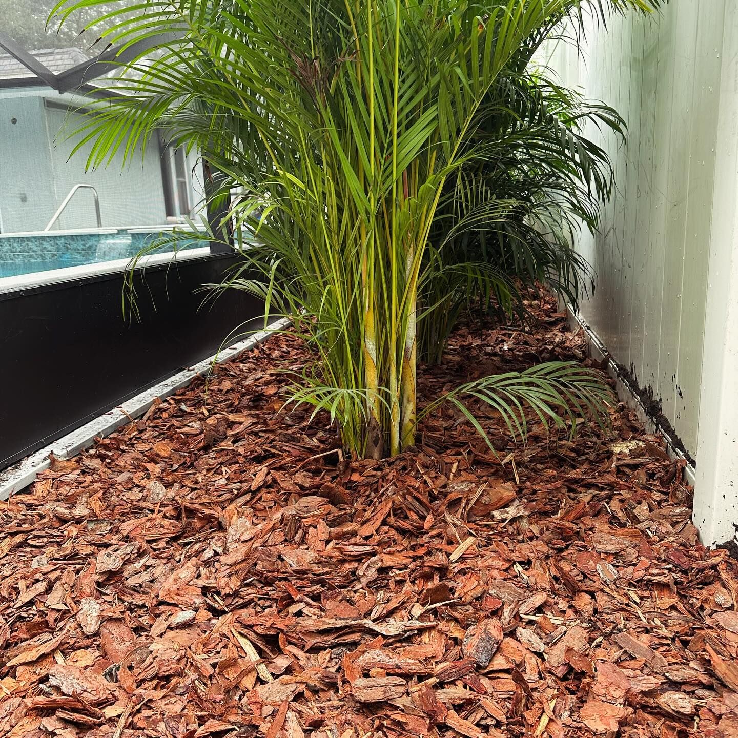 All Photos for GS Lawn & Landscape in Clearwater, FL
