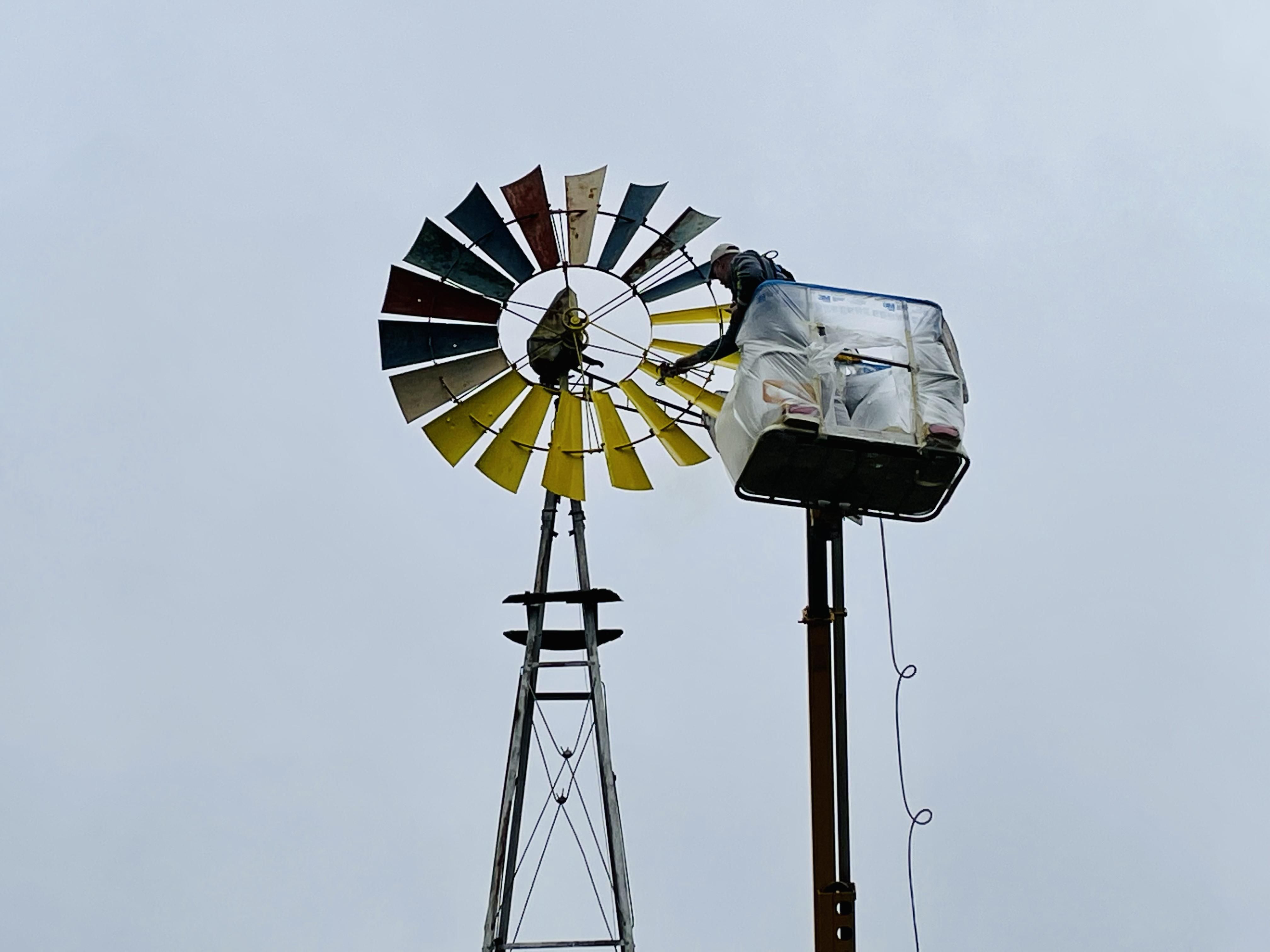  for Apex Painting in Livonia, MI