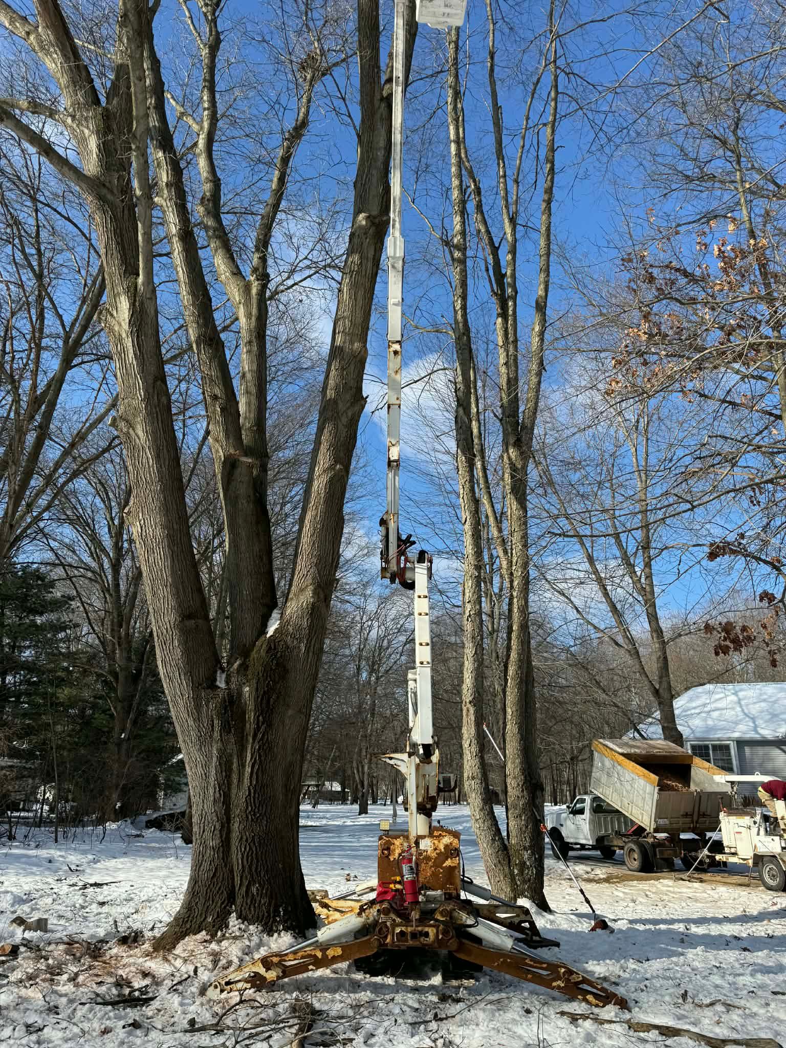  for D Hale Tree Service in Ann Arbor, MI
