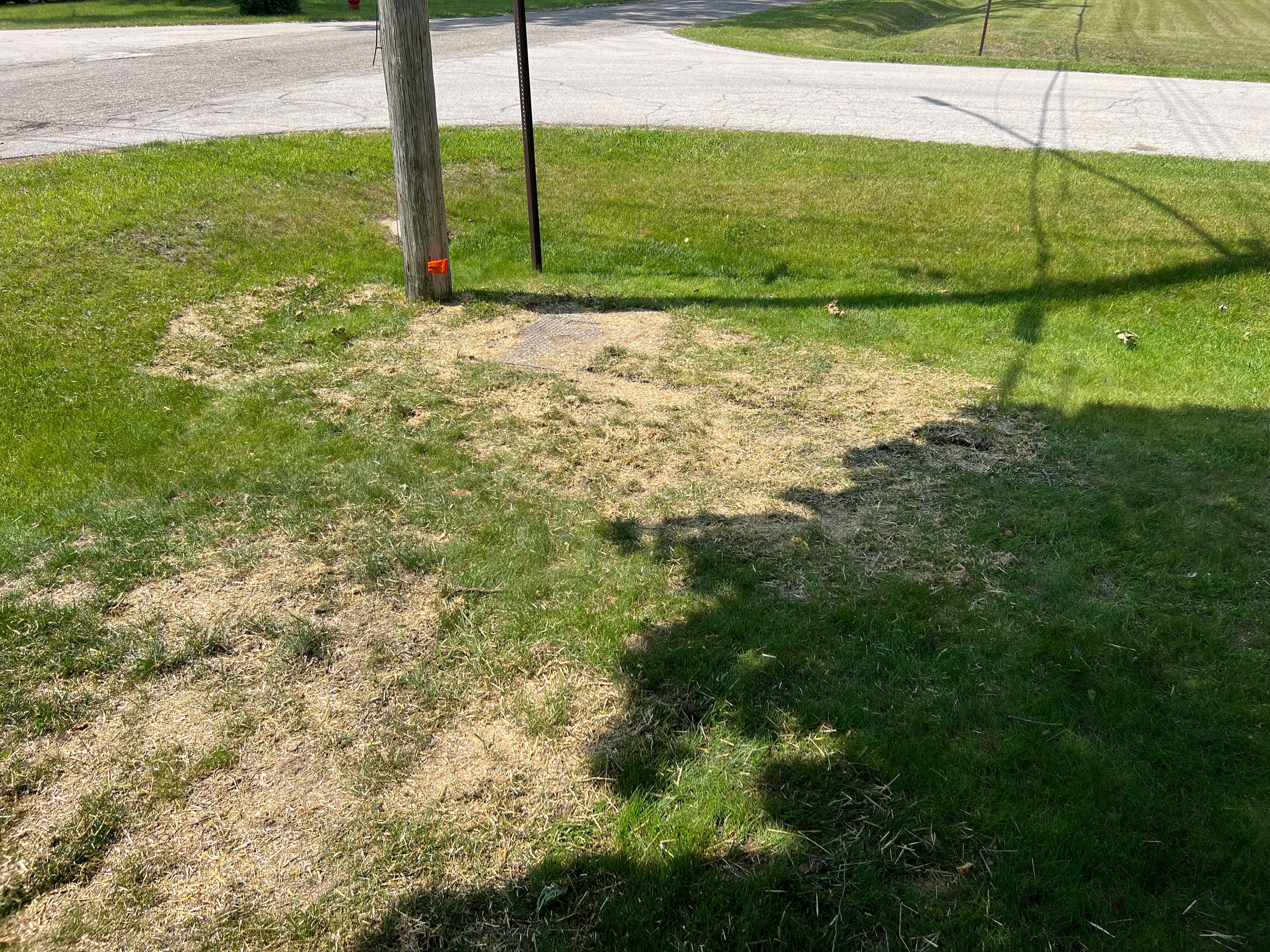 All Photos for Phillips Lawn Services in Ravenna, MI