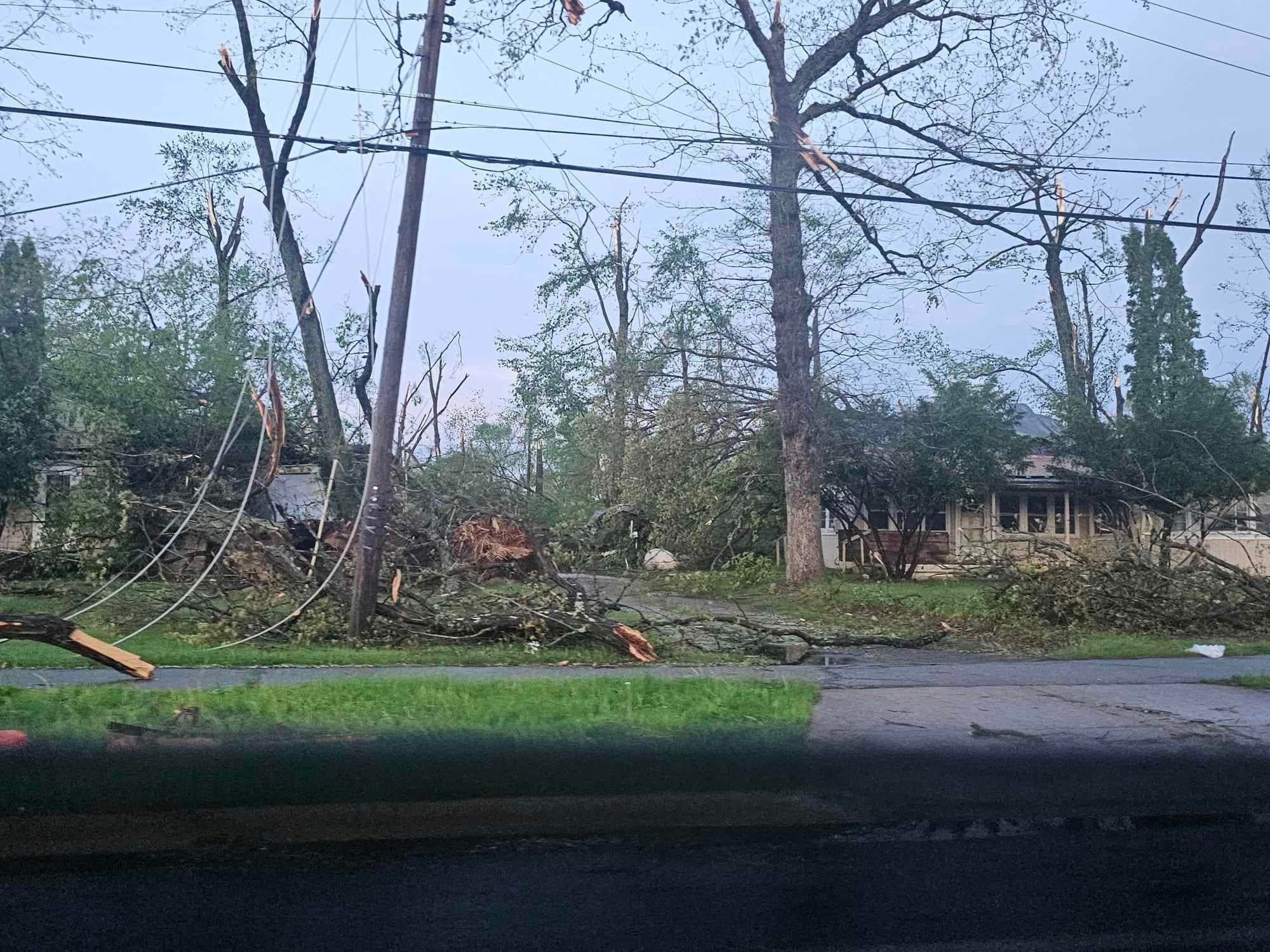  for Branching Out Tree Service in Hastings, MI