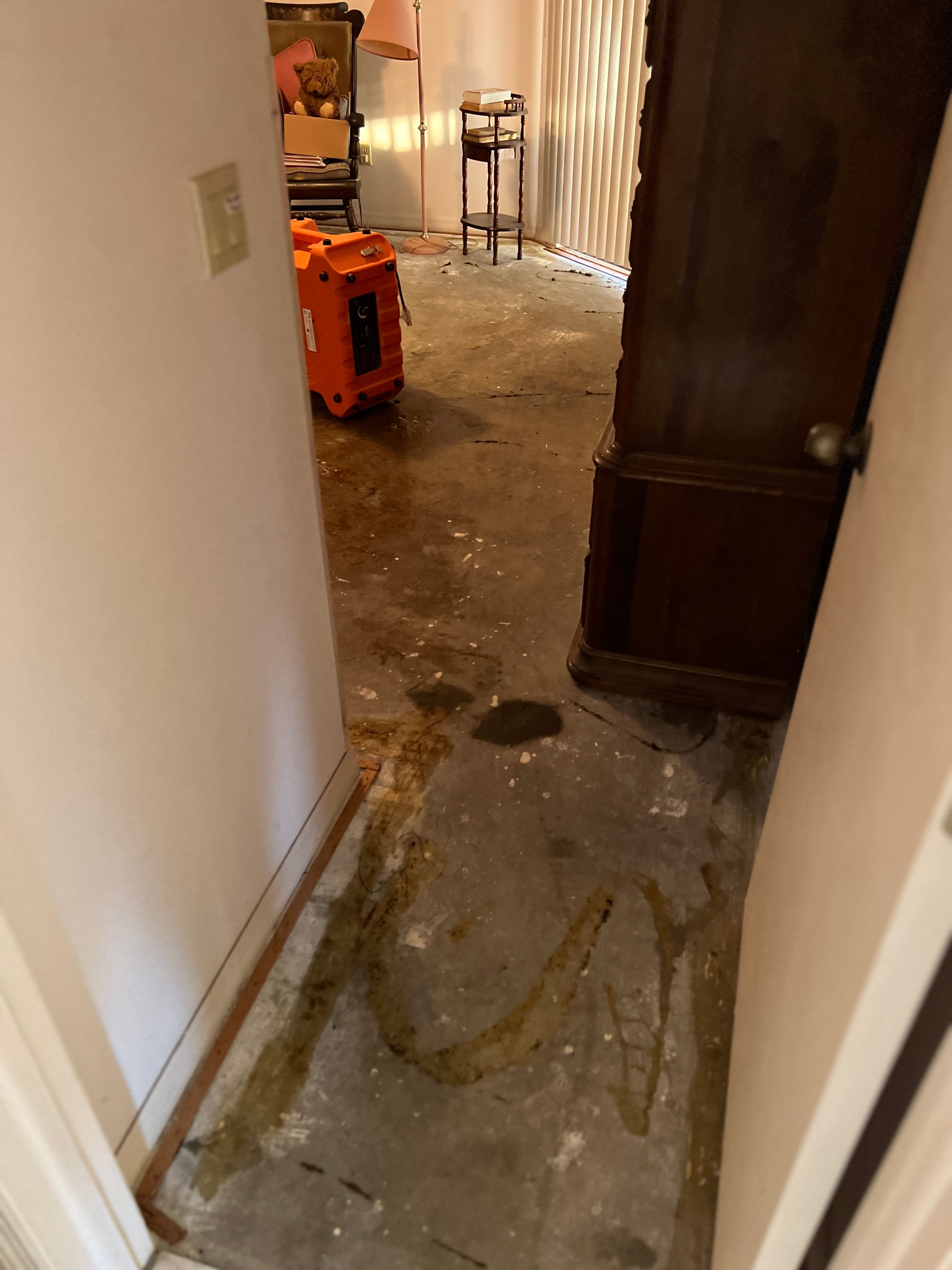  for N&D Restoration Services When Disaster Strikes, We Come In in Cape Coral,  FL