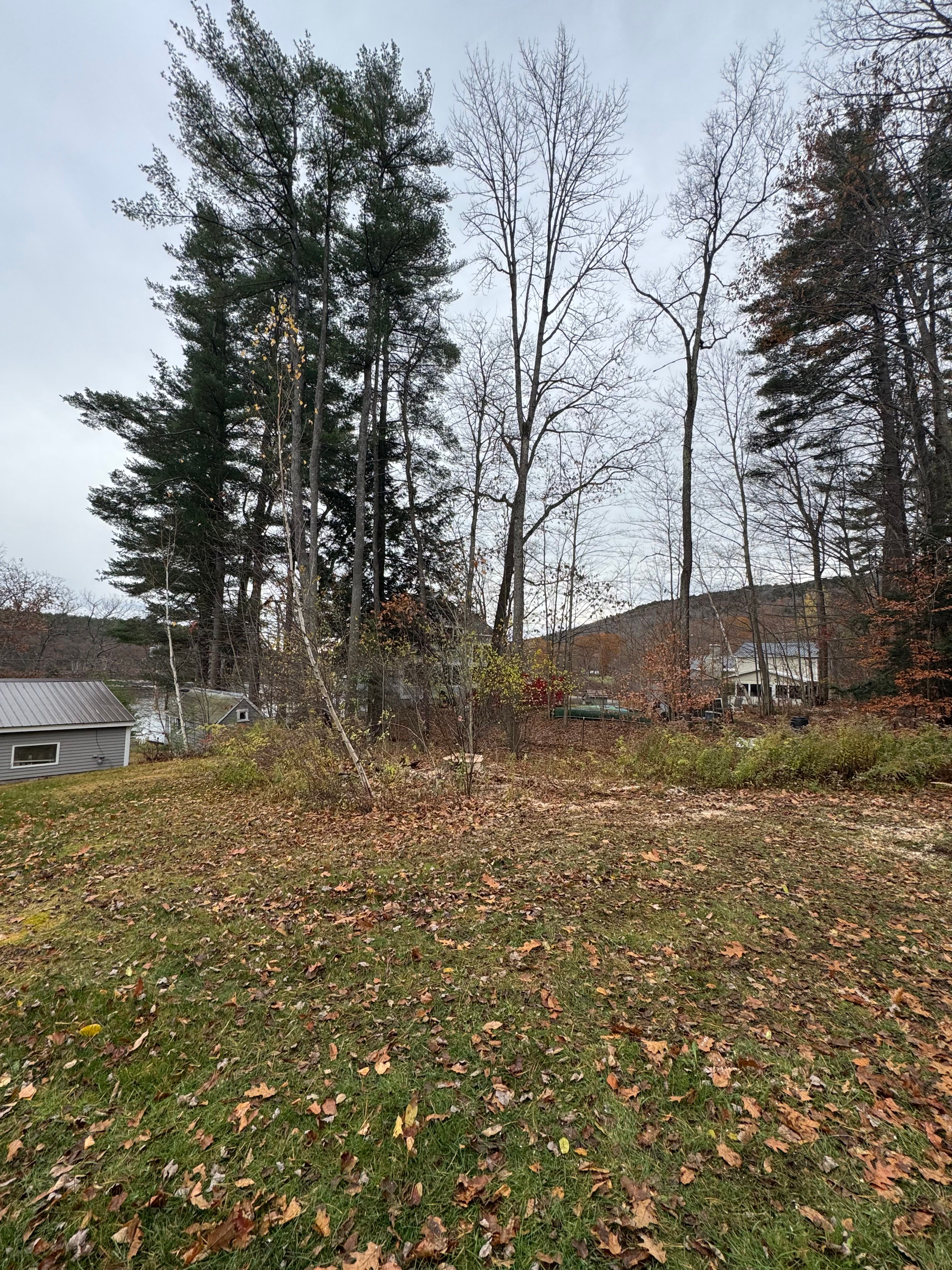  for Clifford’s Quality Tree Care & Landscaping in Enfield, NH