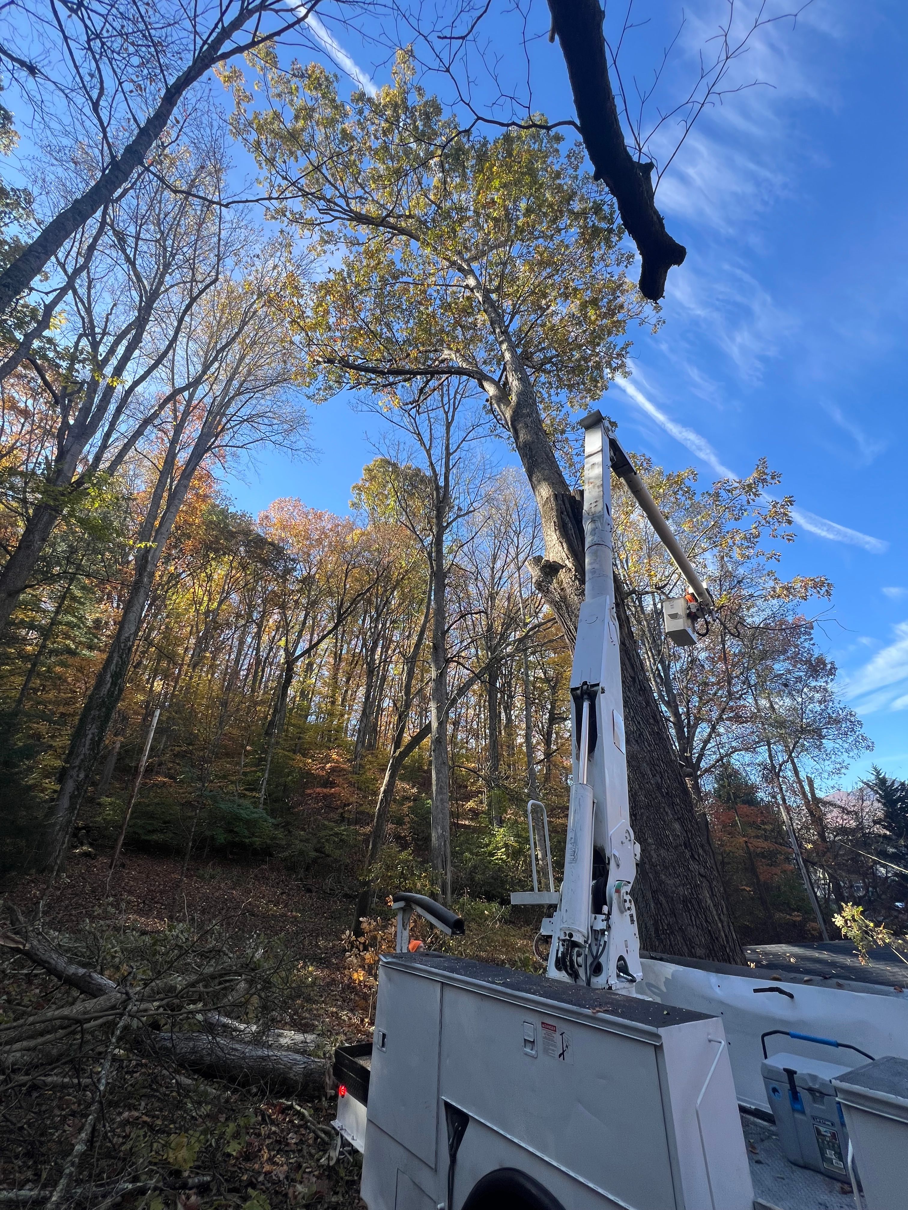  for Ground To Sky Tree Care in Asheville, North Carolina