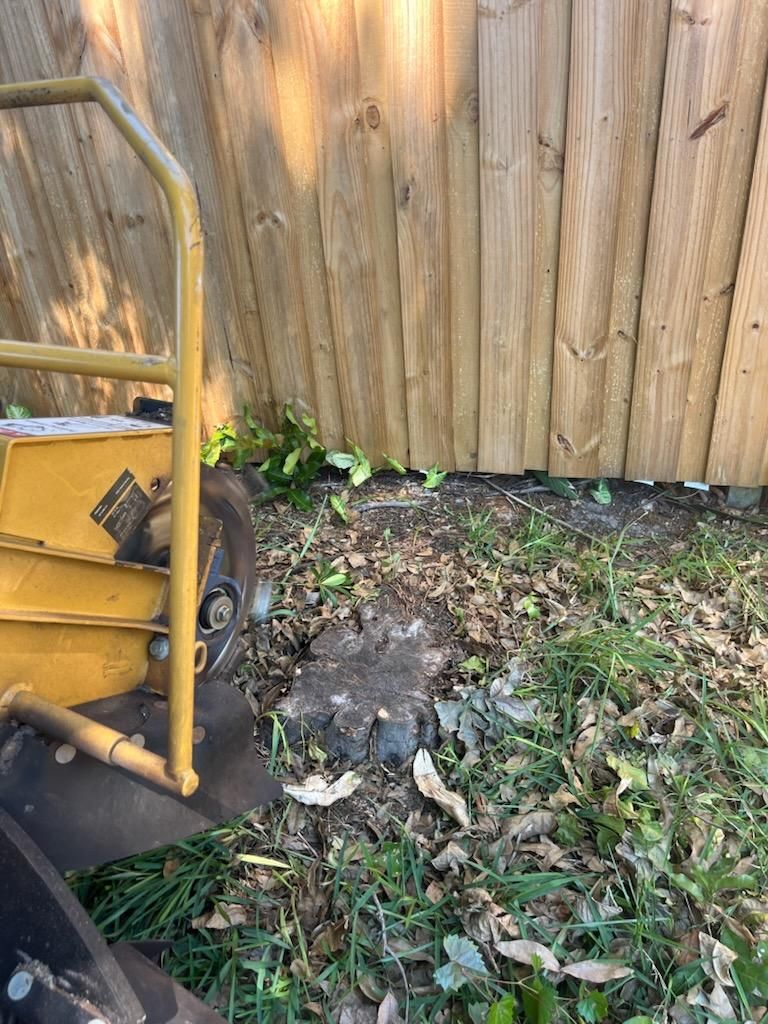  for KB’s Stump Removal in Pinellas county, FL