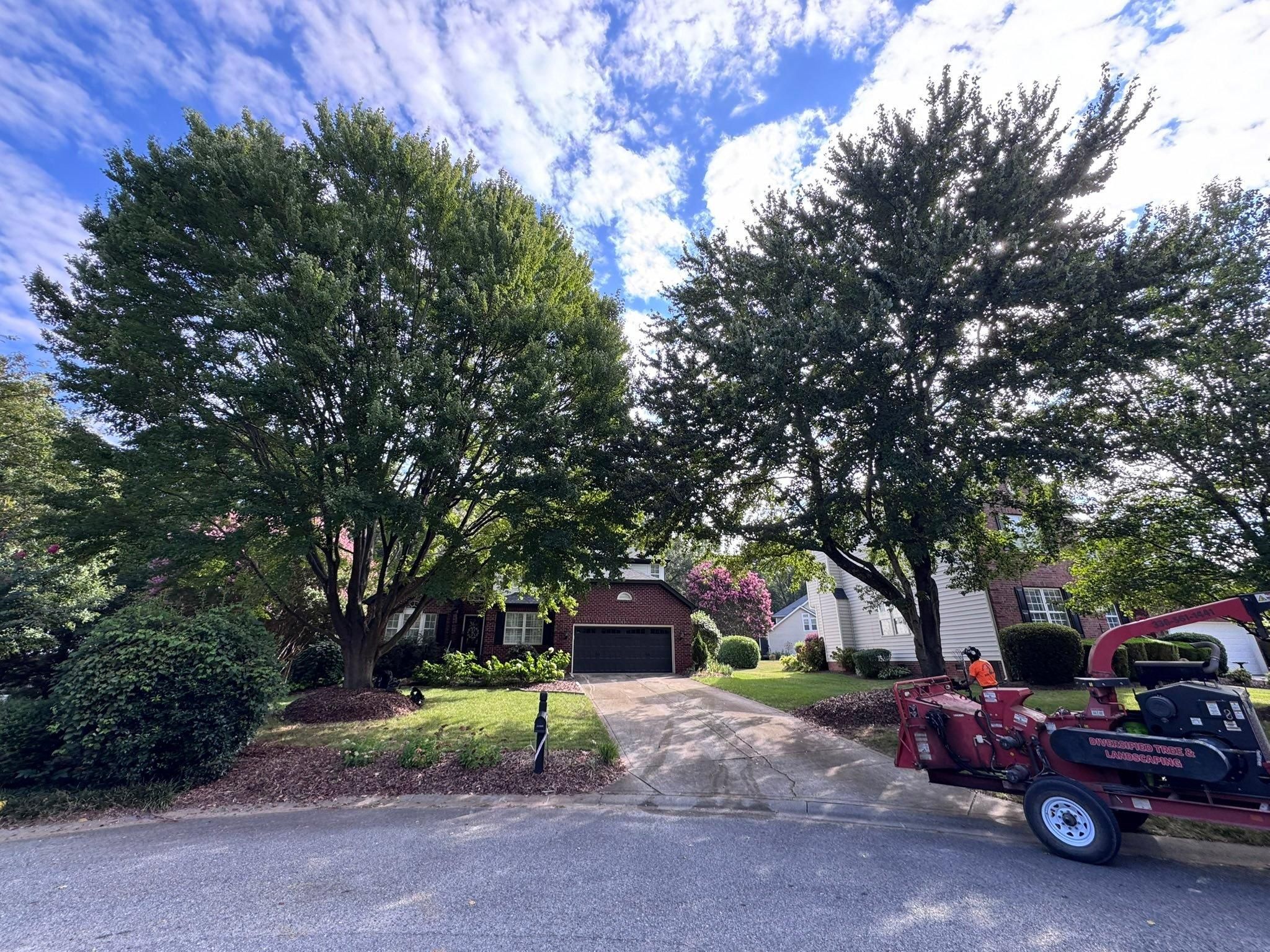  for Diversified Tree Company in Trinity, NC