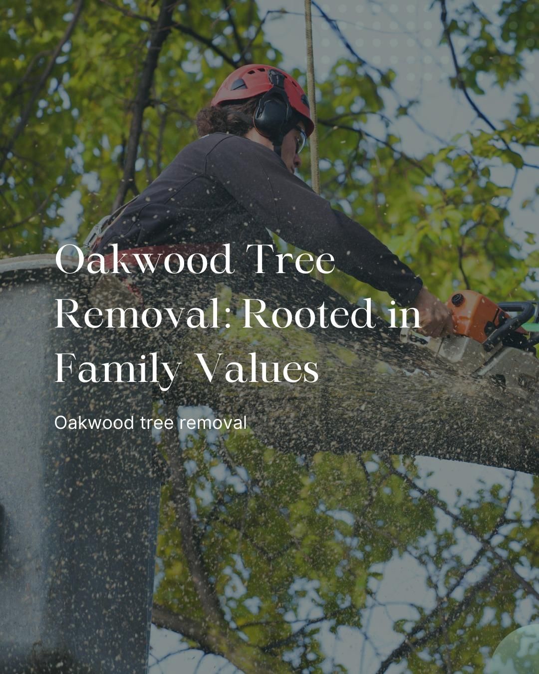  for Oakwood Tree Removal LLC in Oak Creek,  WI