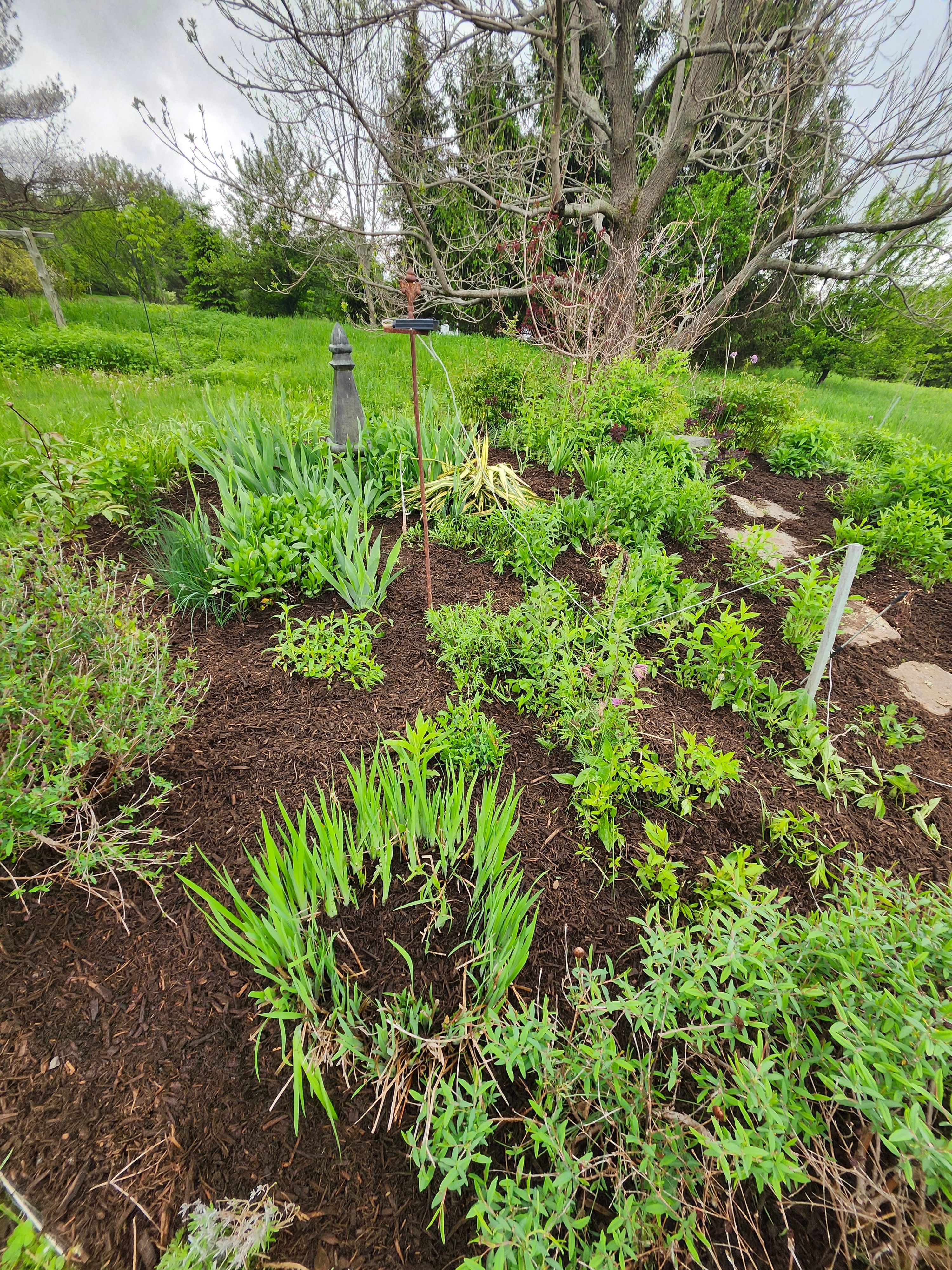 Flower & Tree Planting for Landscape Innovations LLC in Torrington, CT