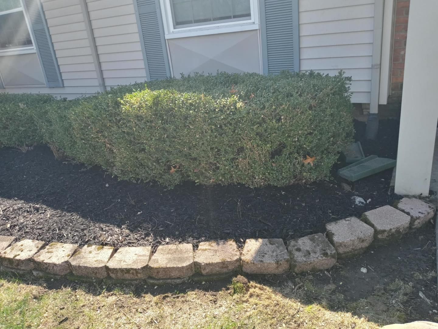  for Mow Pros in Westland, MI