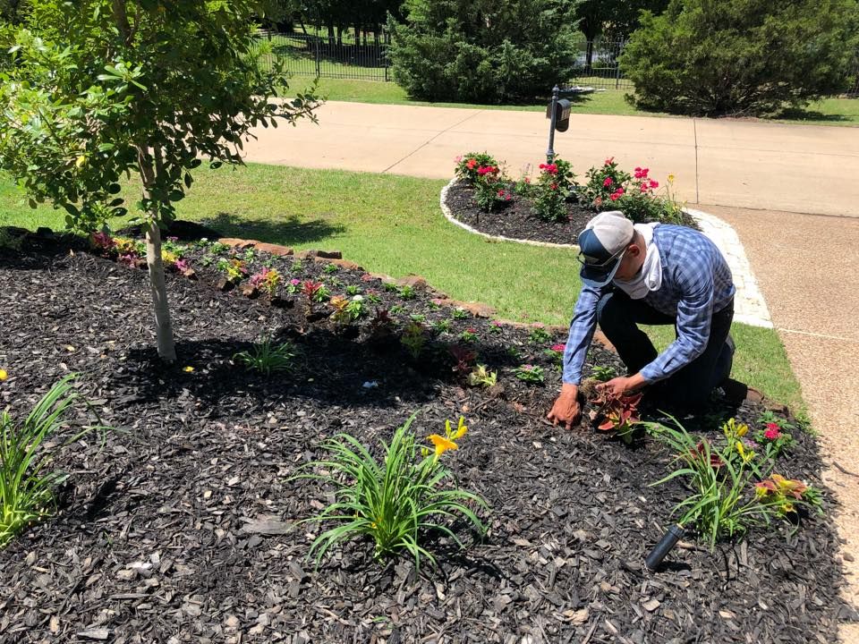 Landscaping for E&D Landscape Services in Mansfield, TX