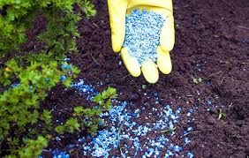 All Photos for Johnson Lawn Services in Fredericksburg, VA