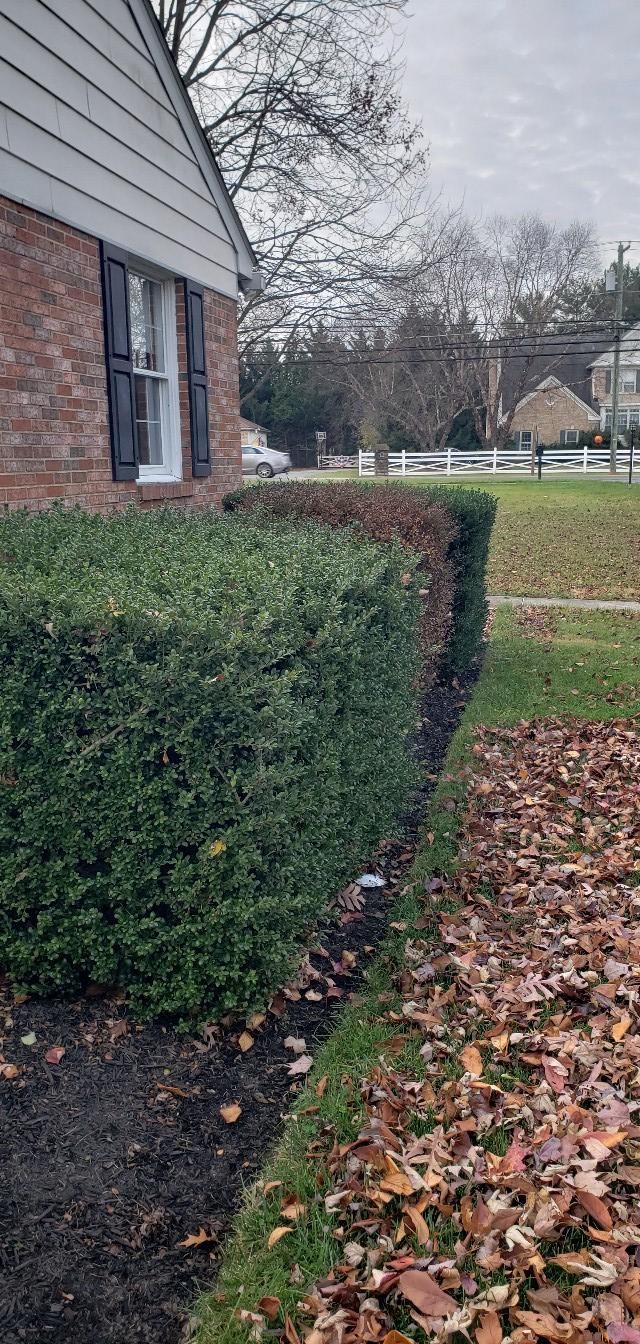 All Photos for Clean Cut Lawns & Landscaping in Dickerson, MD