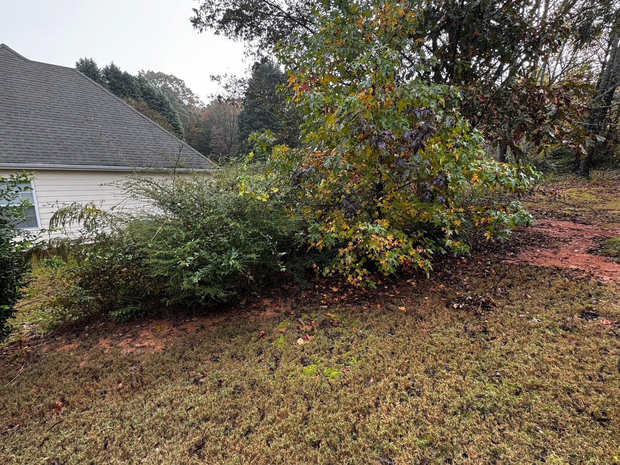  for Deeply Rooted Lawns – Hydroseeding & Sod Installation Services in Winder, GA
