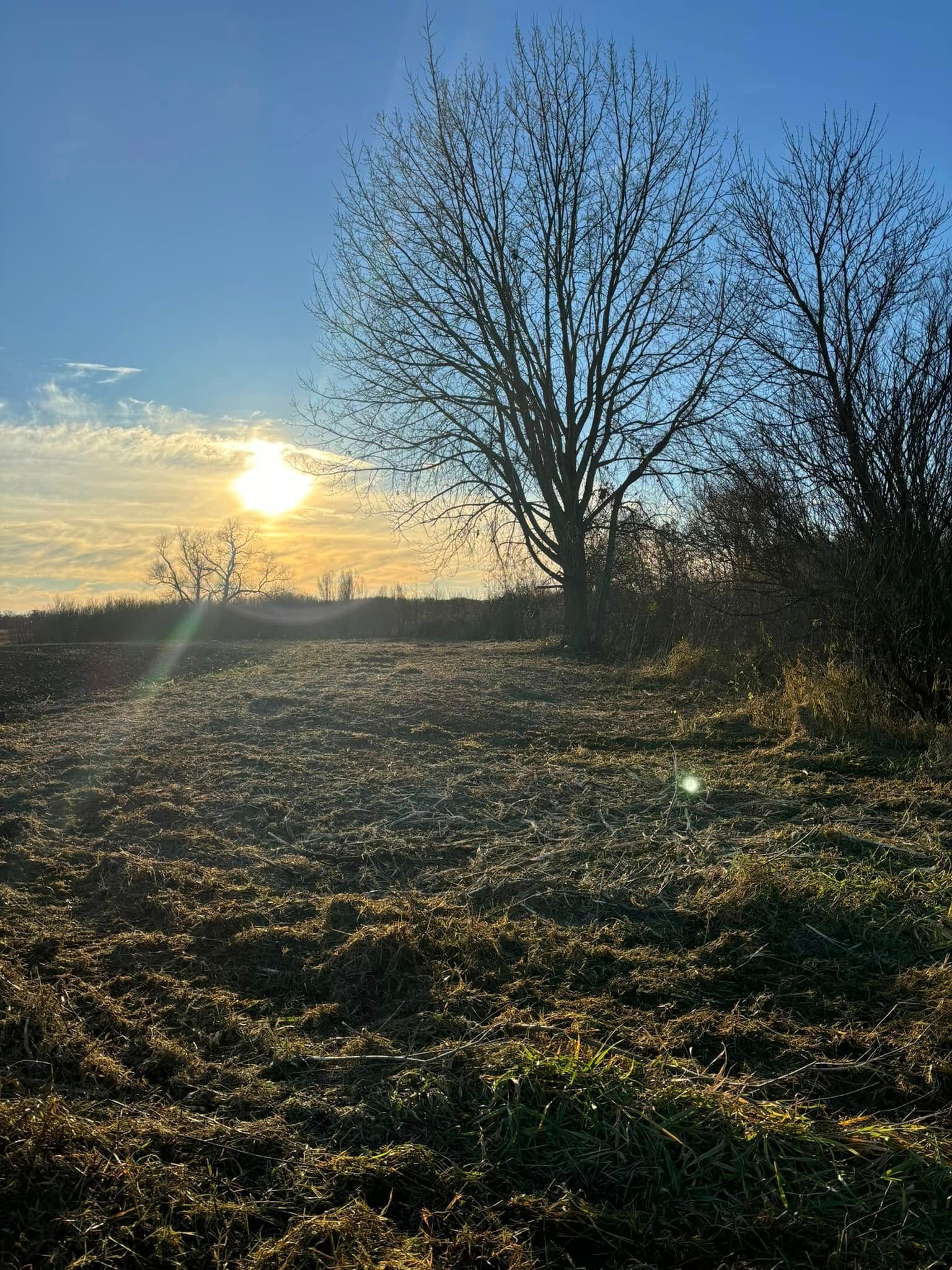 for Root Land Management in Watkins, MN