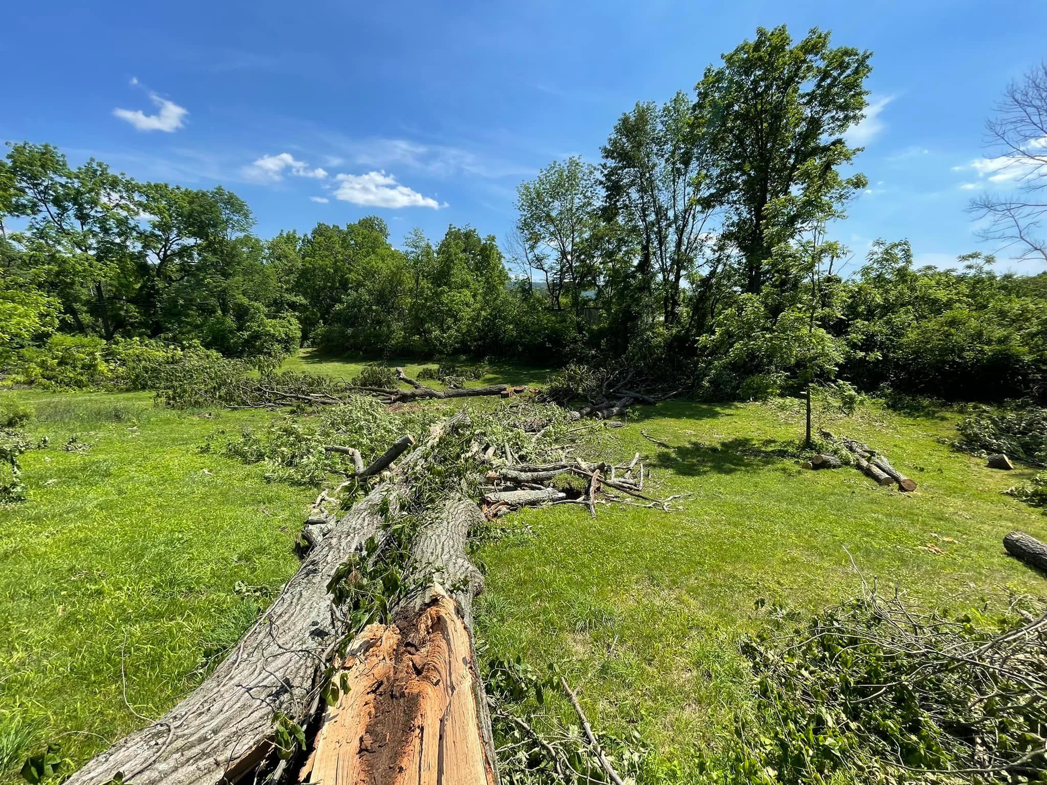  for Jayln's Lawn Care in East Stroudsburg, PA