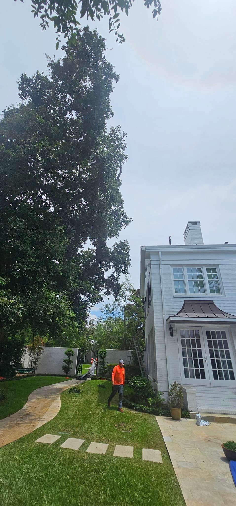  for Servin's Tree Care  in Houston, TX