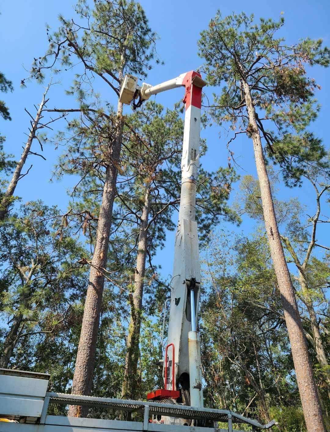  for Breaktime Tree Trimming & Removal in Oakdale, LA