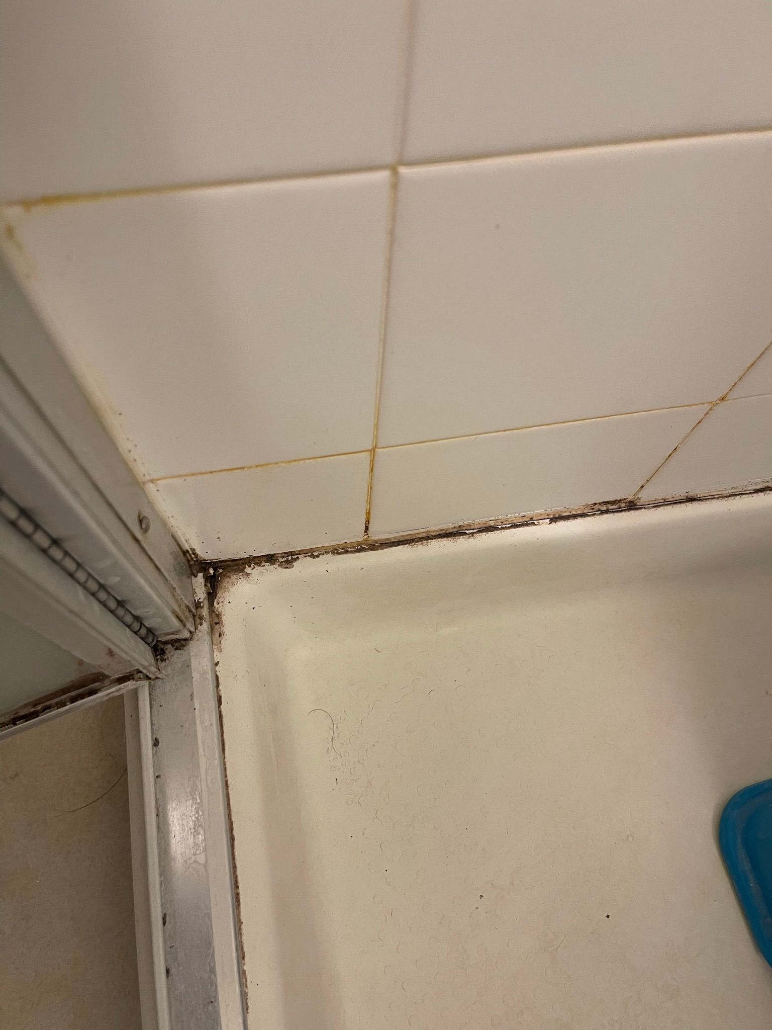  for Tony's Remodeling & Painting in Renton, WA