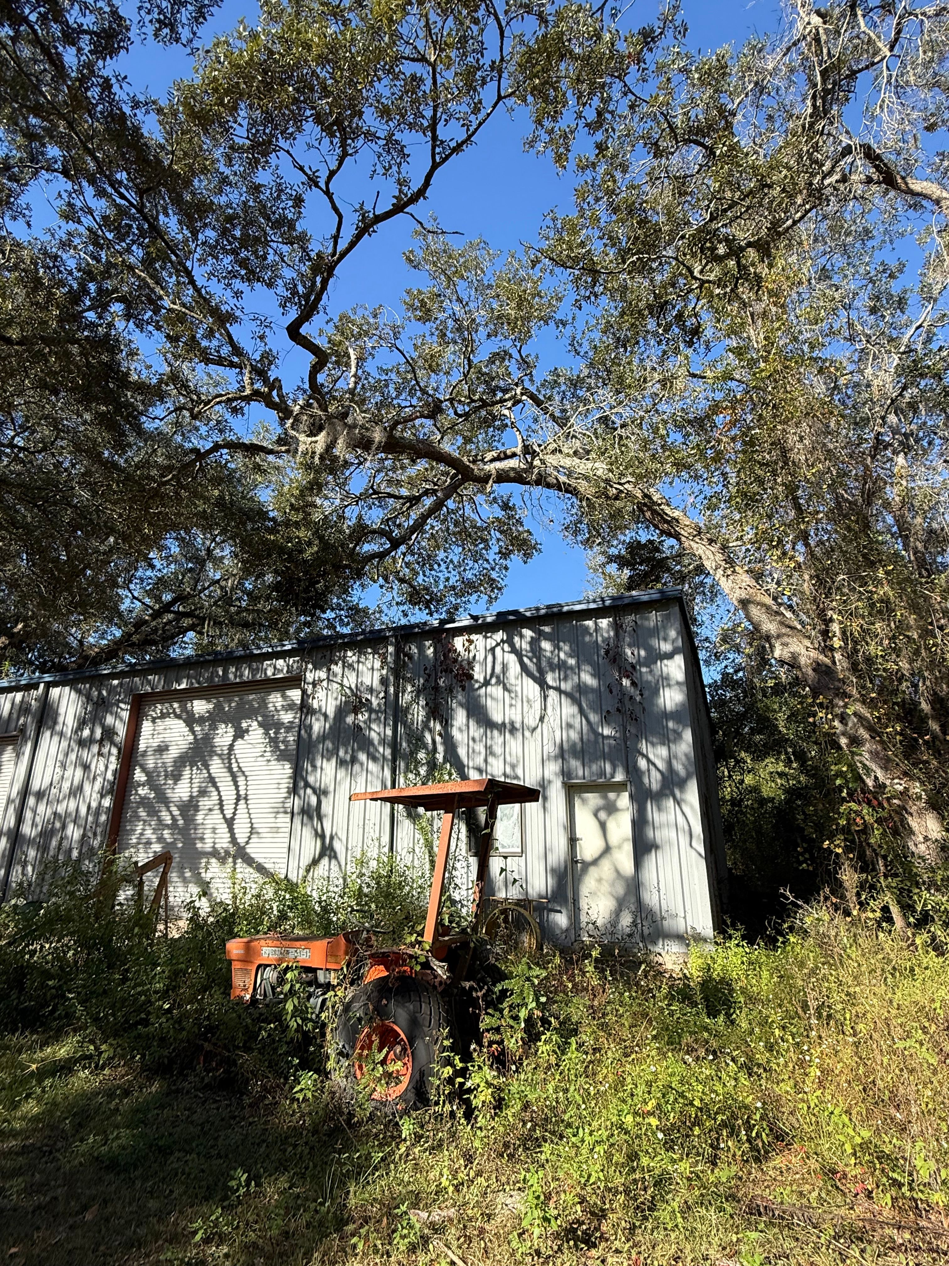  for Warners Tree Solutions in Live Oak, FL