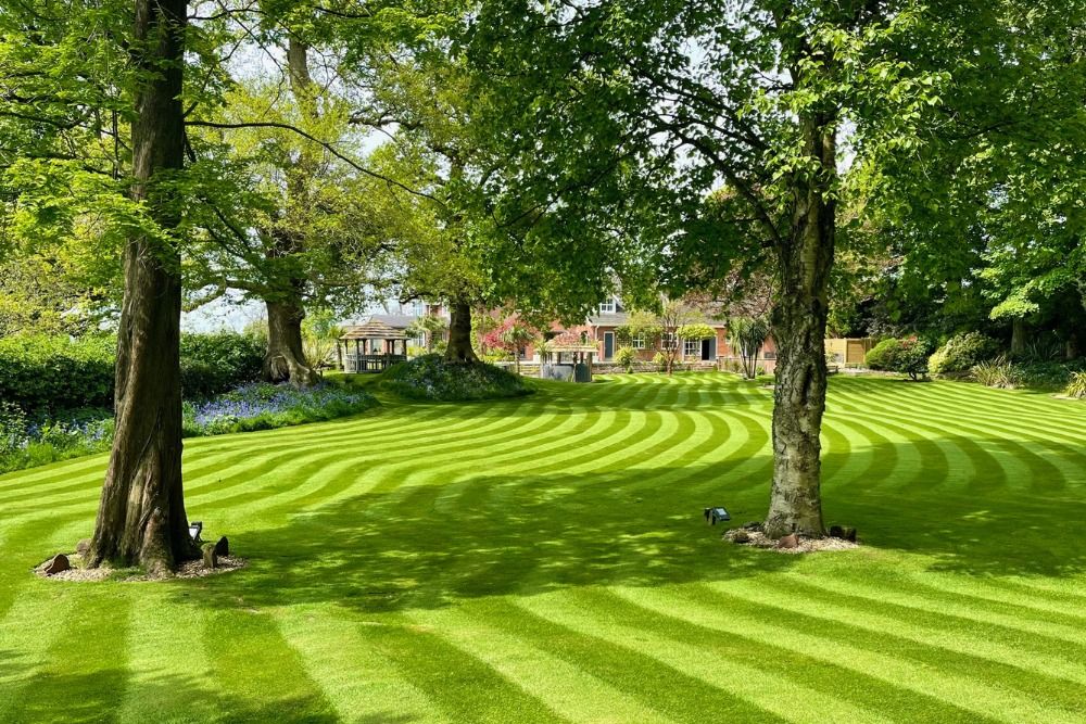  for One Awesome Dad Lawn Care Service in Keller, TX