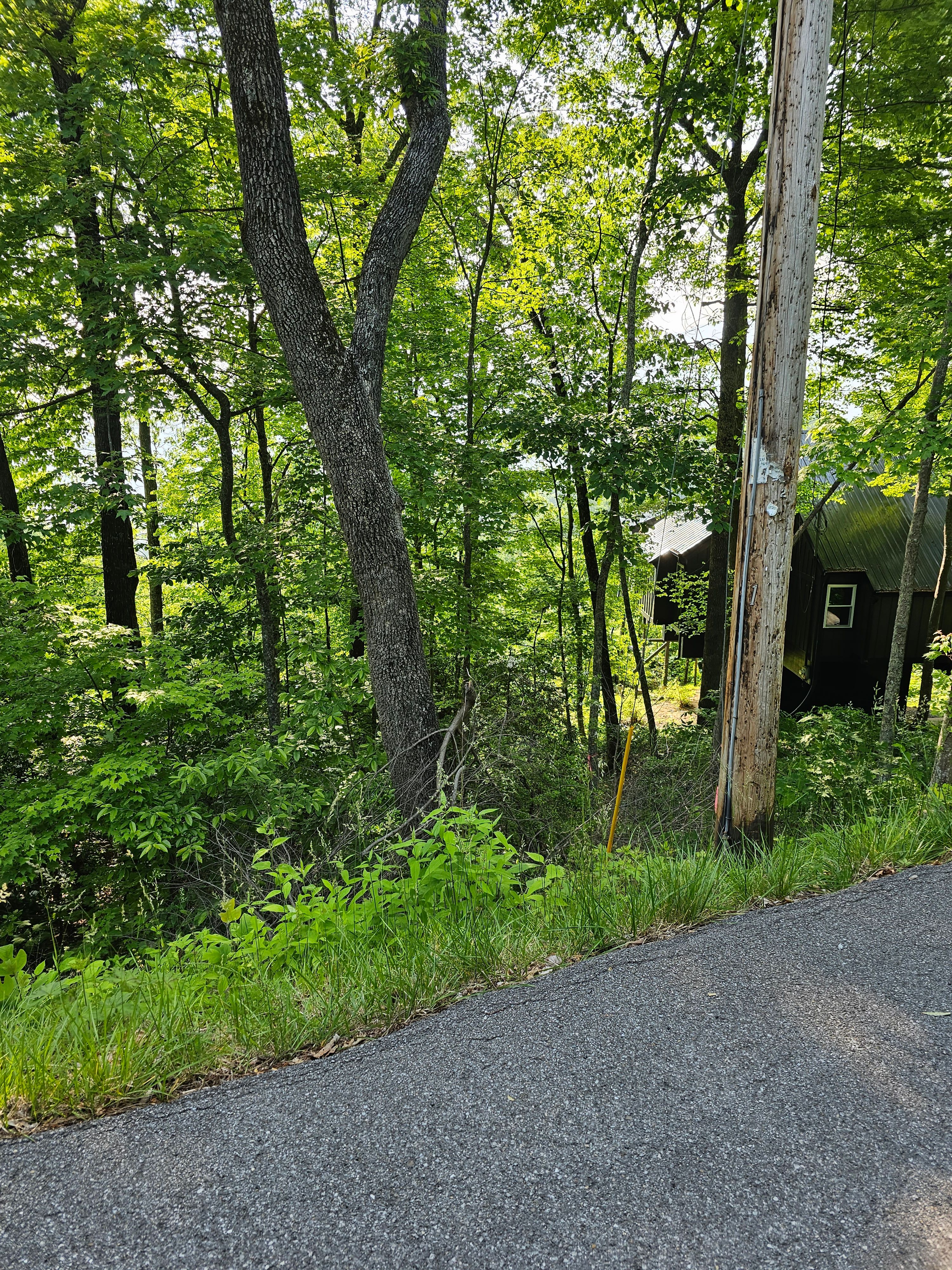  for Walker Excavation in Tazewell, TN