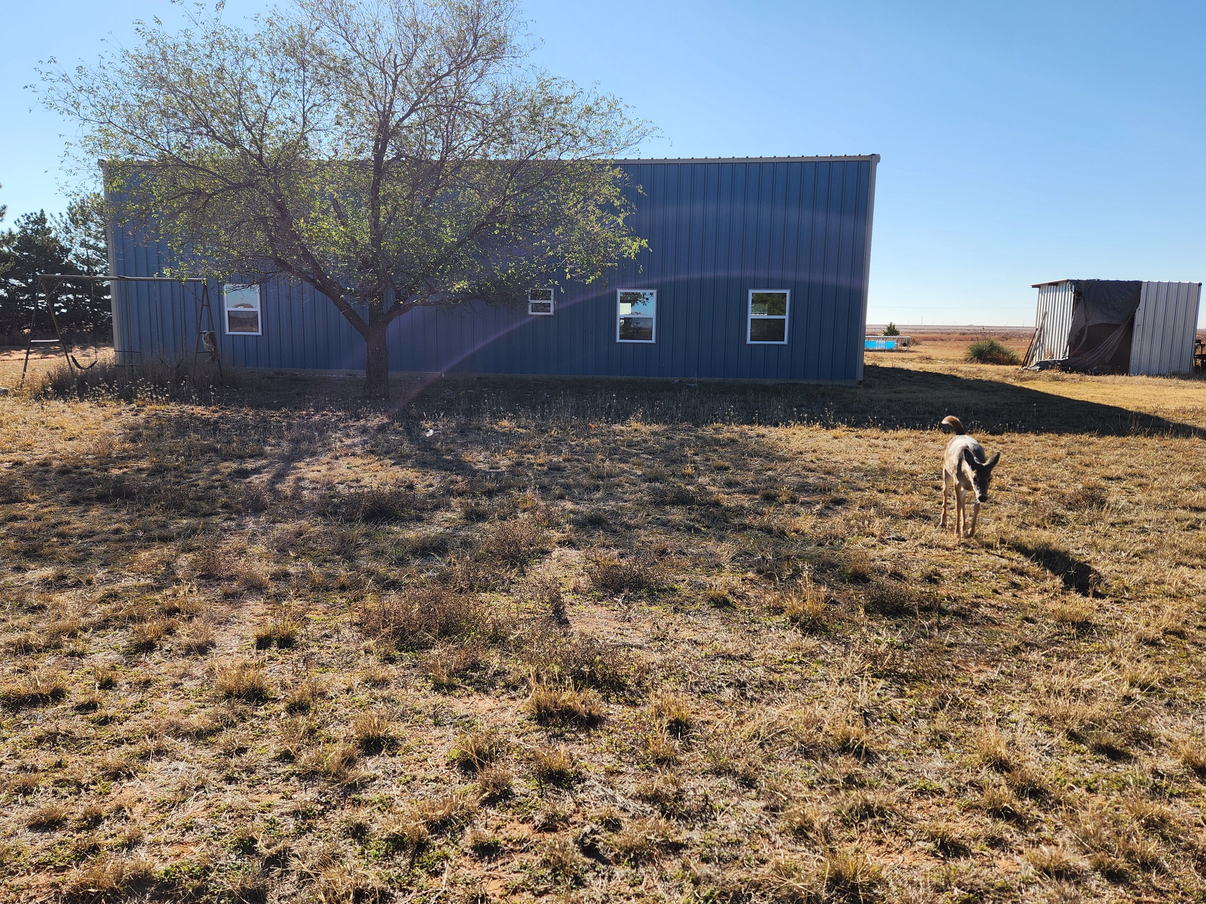 Barndo for Prairie Land Properties LLC in Lubbock, TX