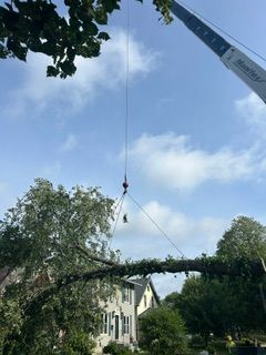 All Photos for Allstate Tree Service and Crane in Spring Lake Park, MN