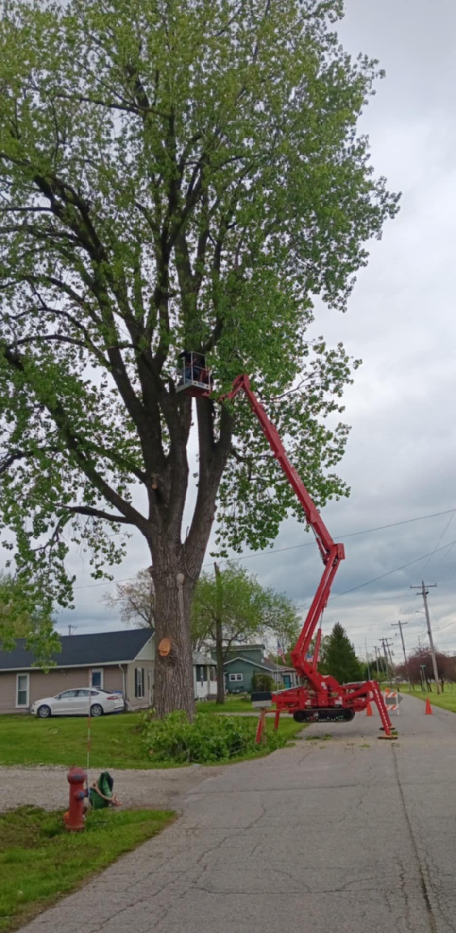  for Lawn Ranger Yard And Tree Service LLC in Ottumwa, IA