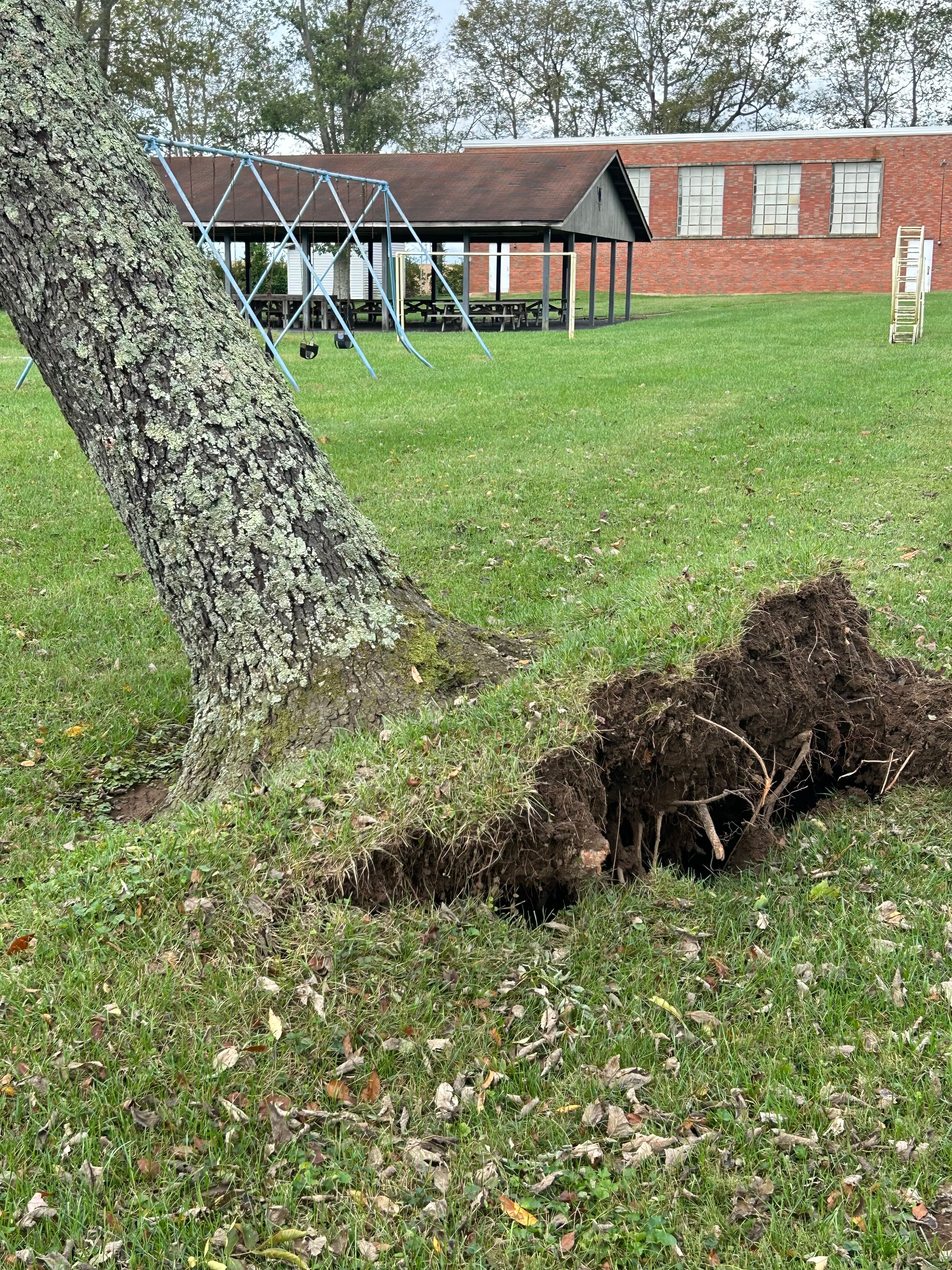 All Photos for Houtz Tree Service in Lexington, KY