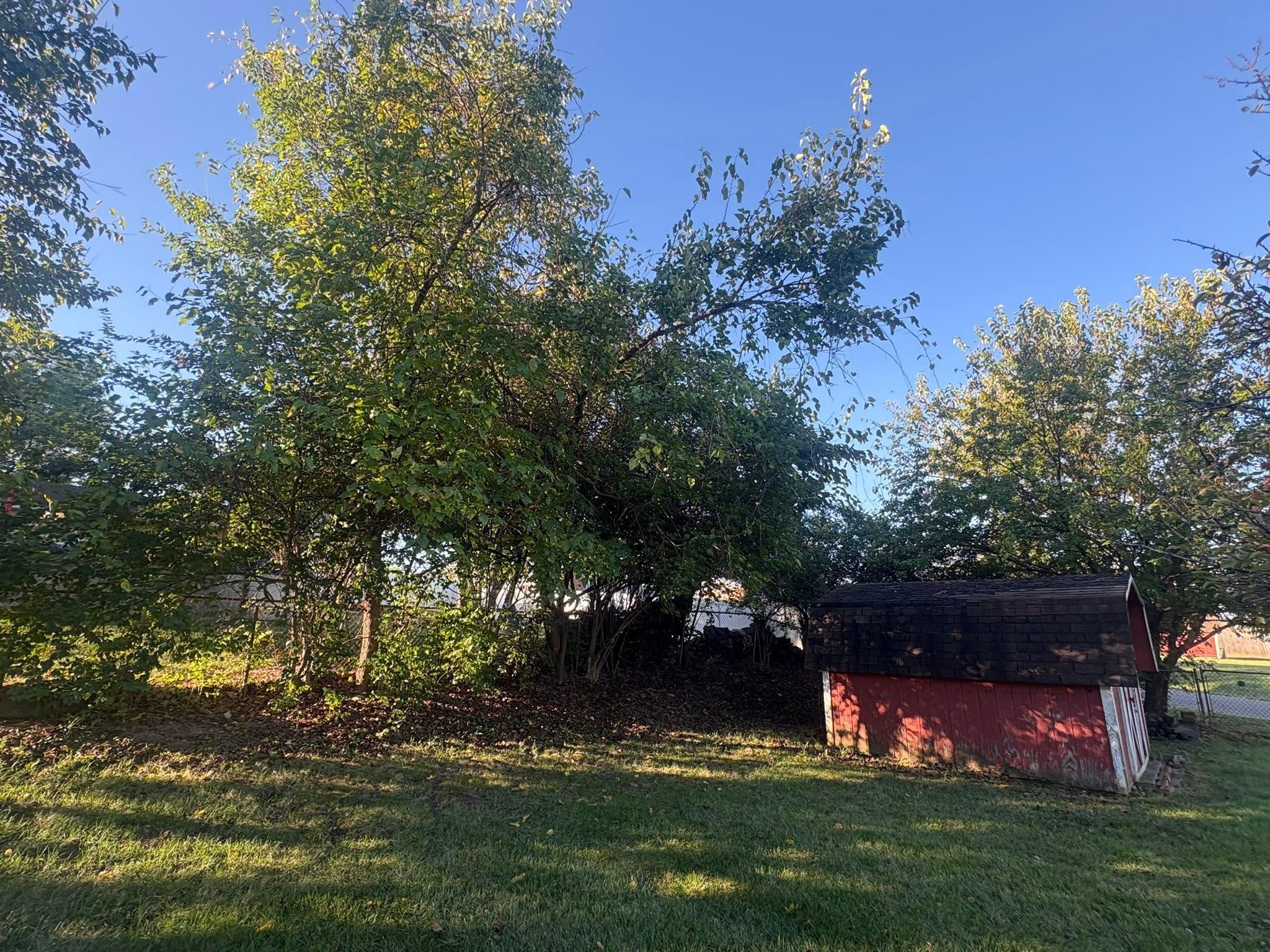  for Dig-It Tree Company in , 