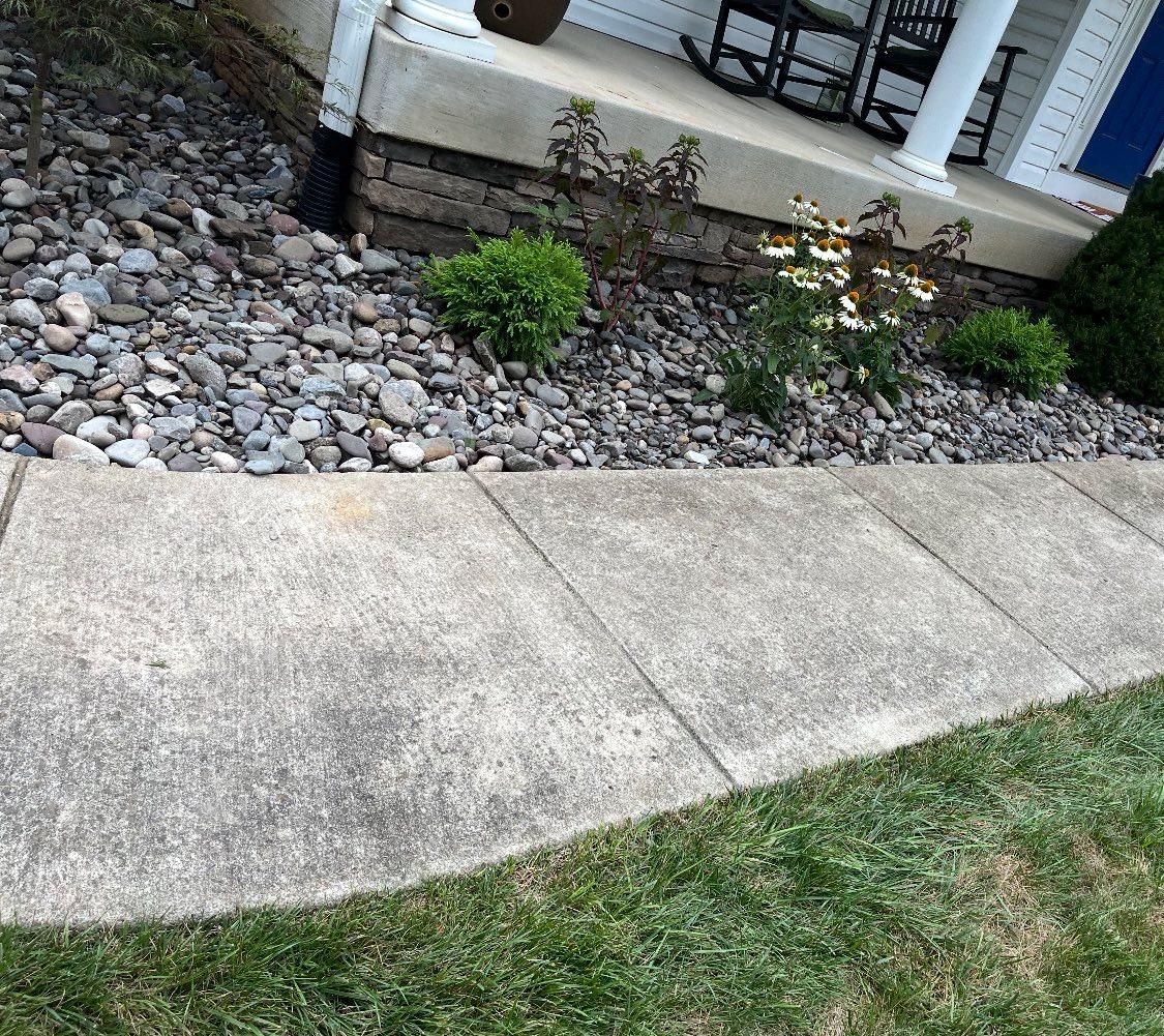  for Branch Out Tree Care LLC in Fredericksburg, VA