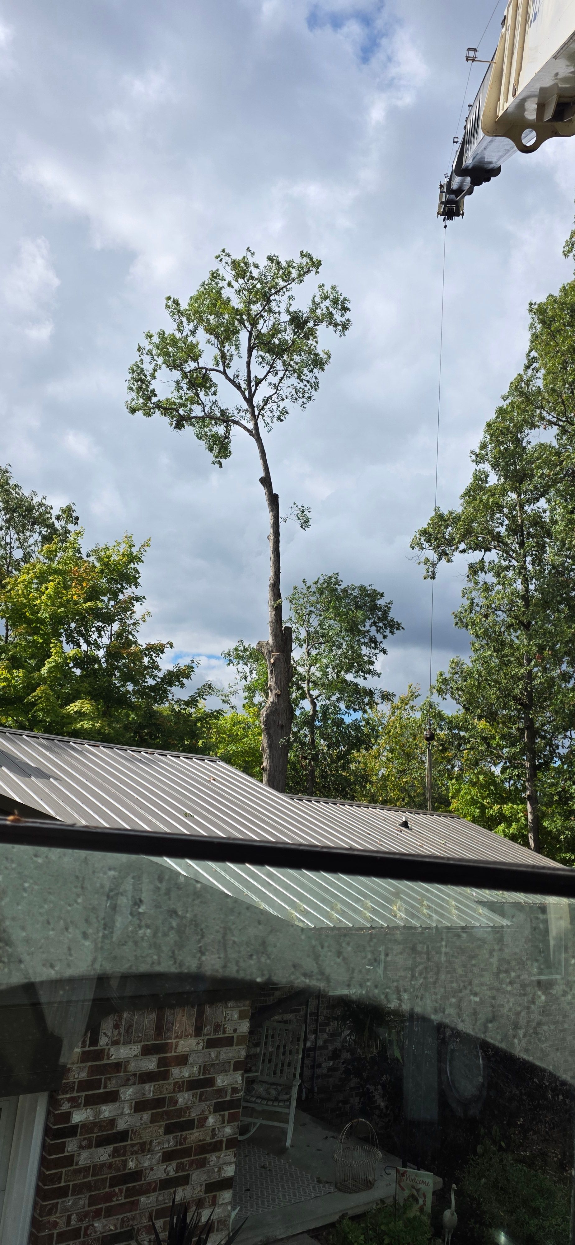  for Advanced Tree Solutions in Rockville, IN