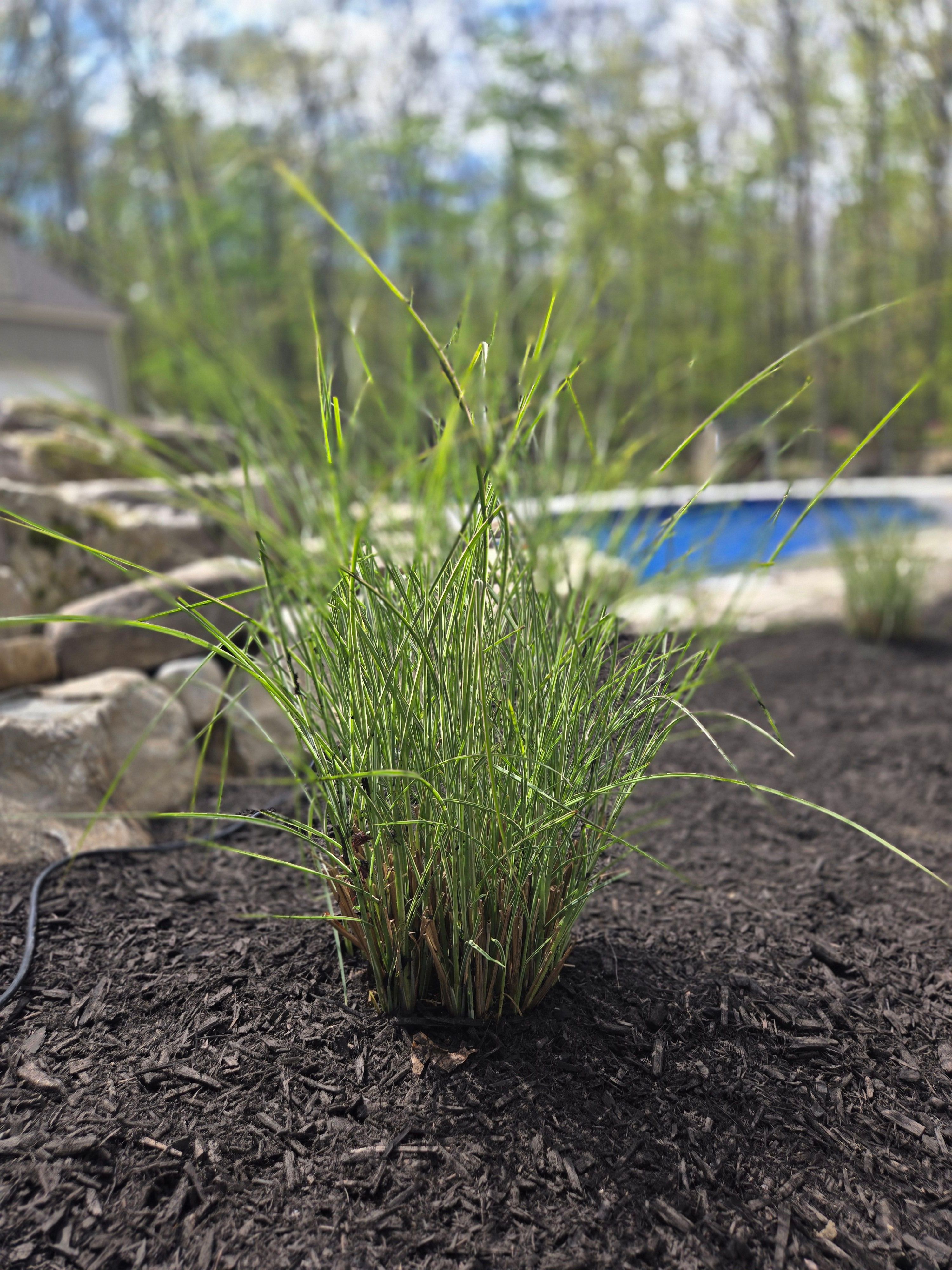  for Tony Monaco Landscaping Inc. in Orange County, NY