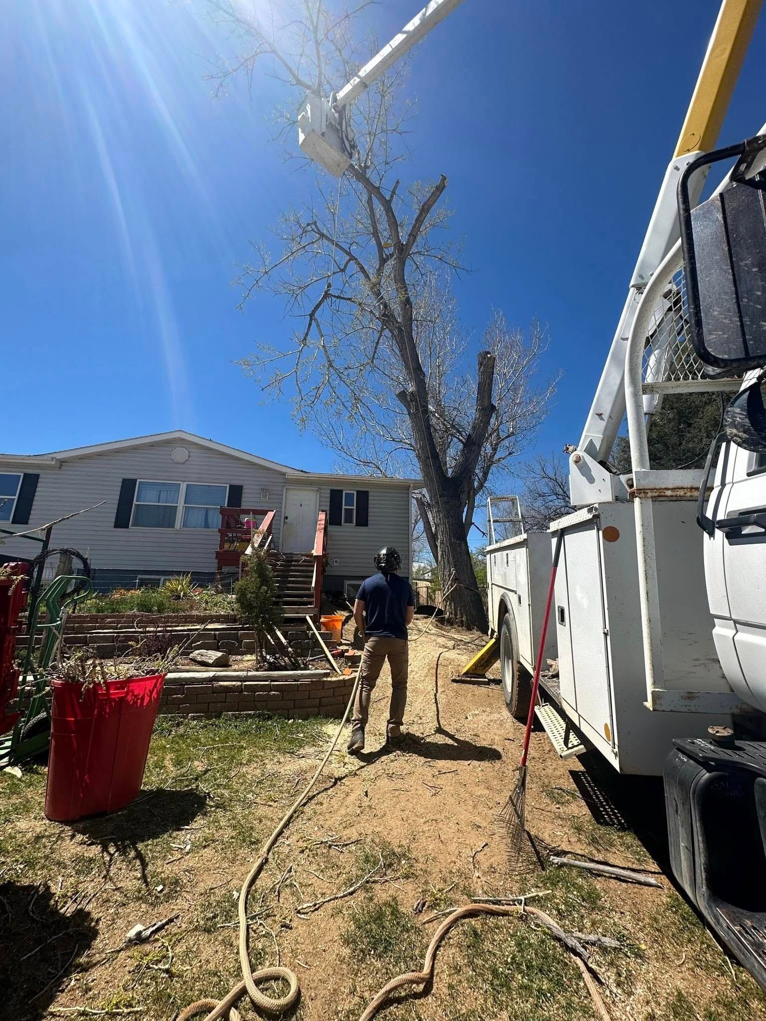  for Two Fellers Tree Service in Buffalo, WY
