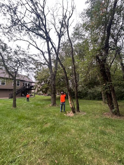 All Photos for Cross Family Tree Service in Kearney, MO