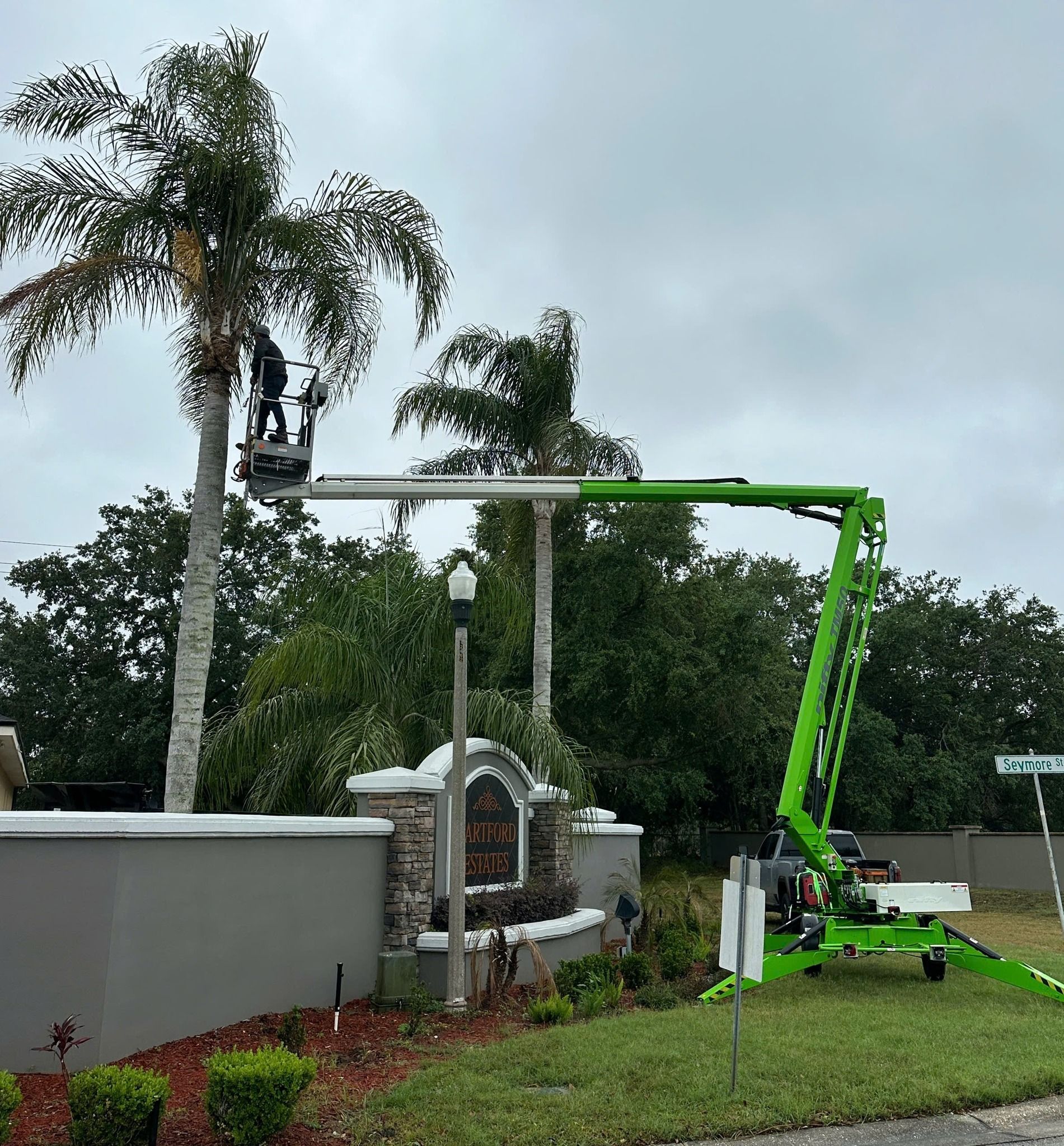  for Ultimate Tree and Landscape Services LLC in Mulberry, FL