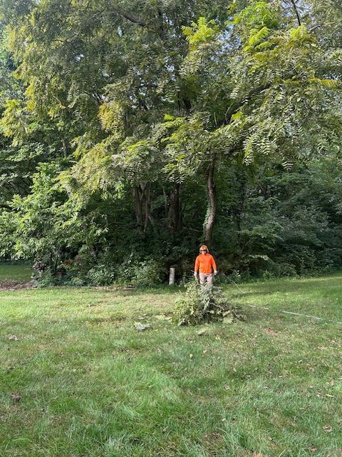 All Photos for Cross Family Tree Service in Kearney, MO
