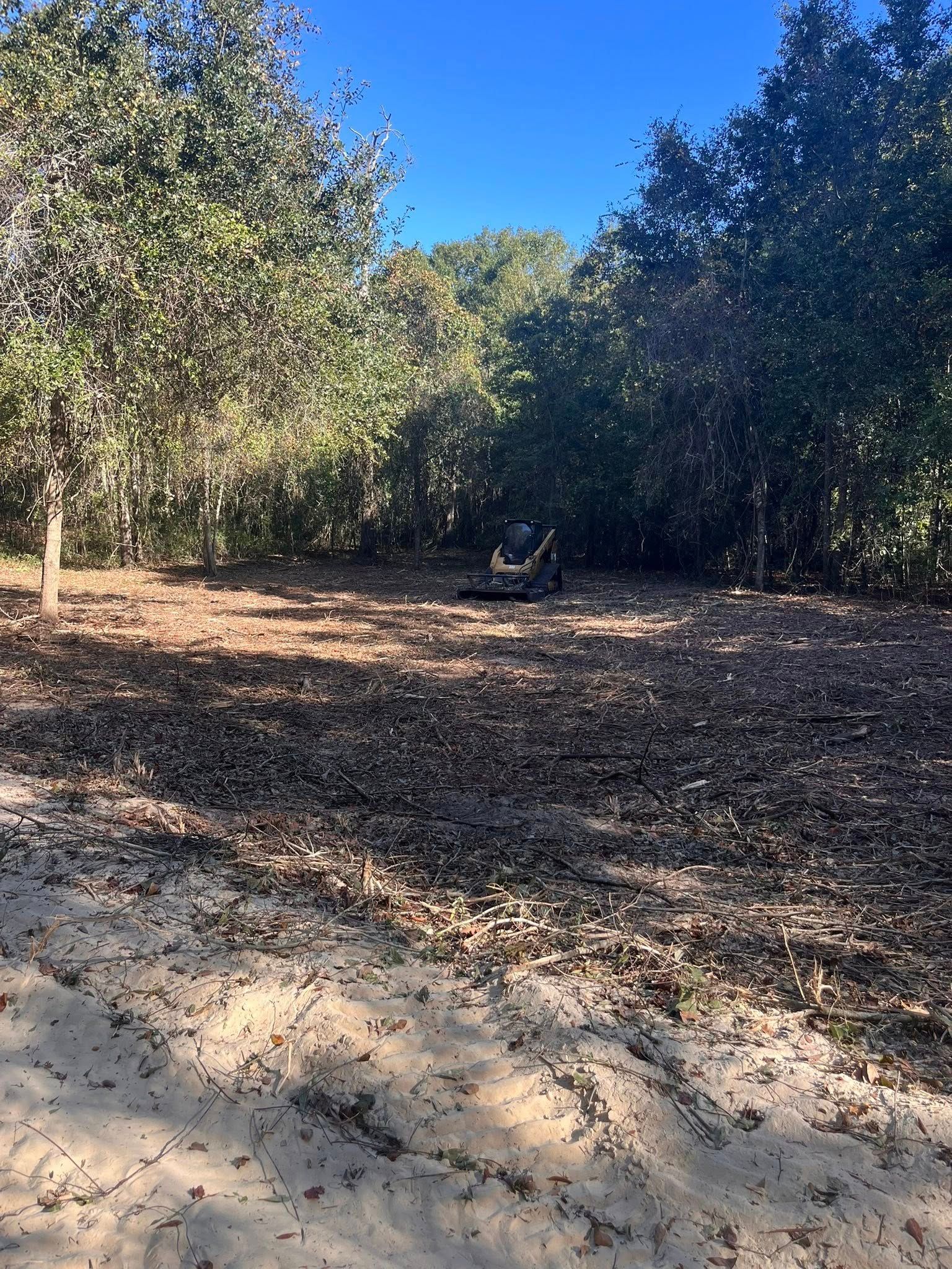  for Pinewood Land Management LLC in Nashville, GA