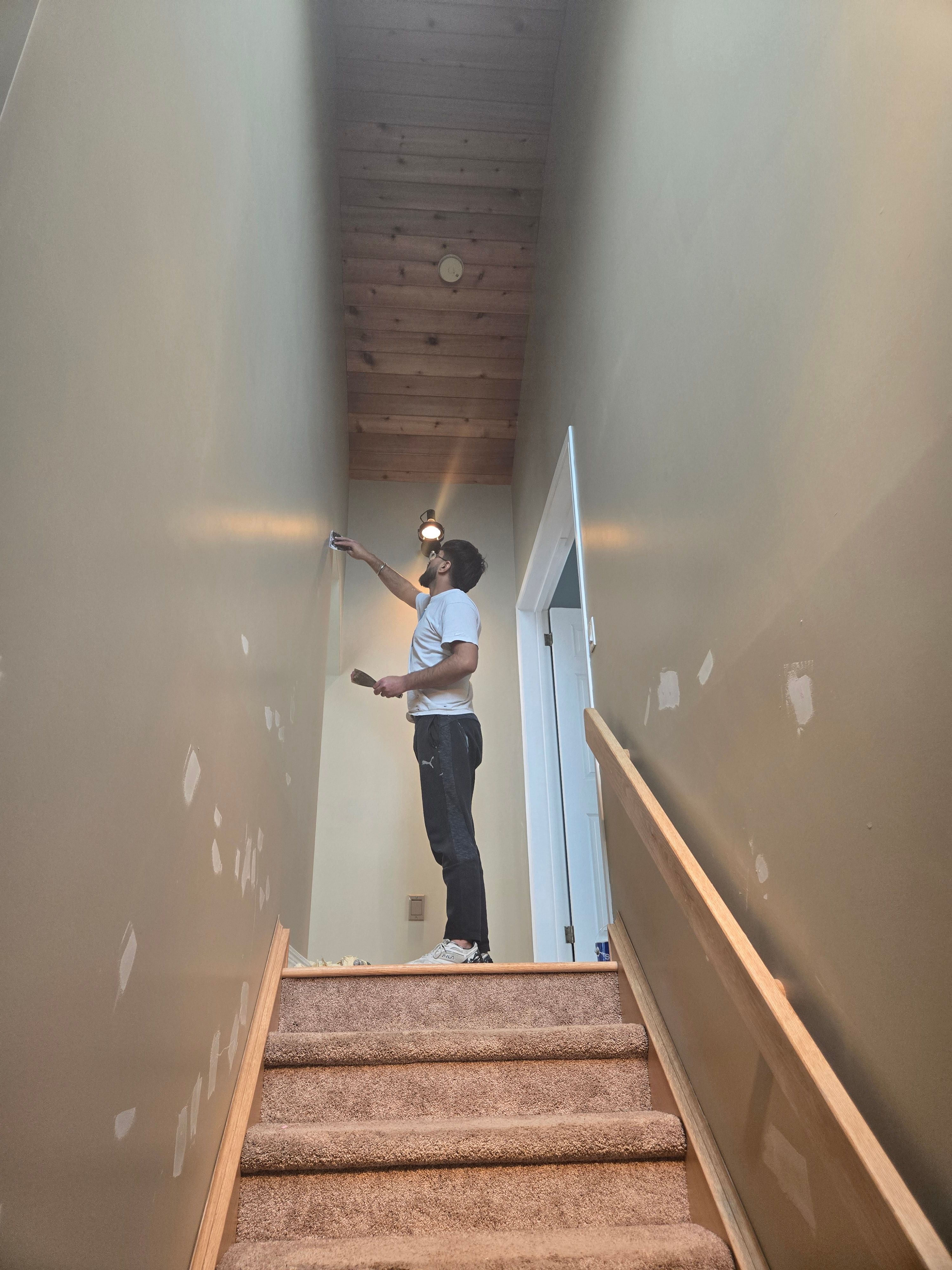 for Stallion Painting in Hamilton, Ontario