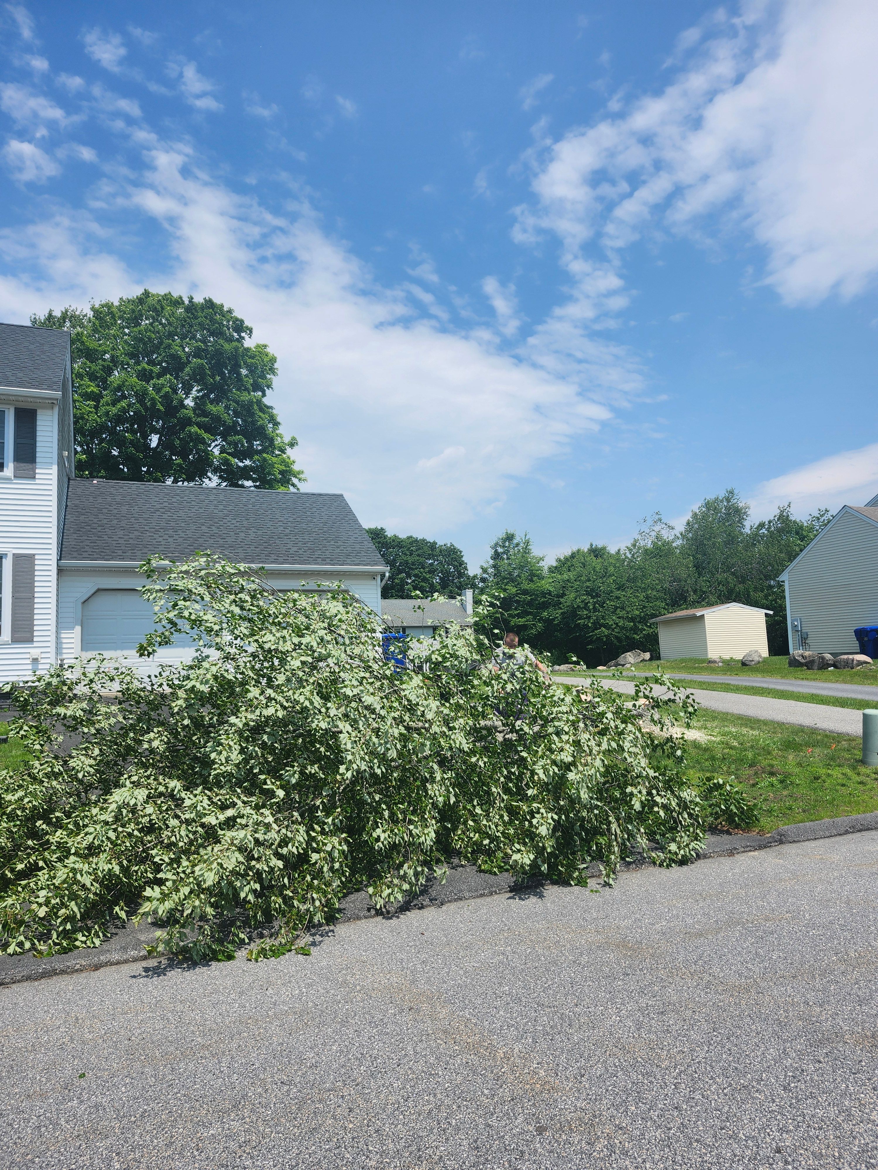 Hedge/Tree/Brush Cutting for Landscape Innovations LLC in Torrington, CT