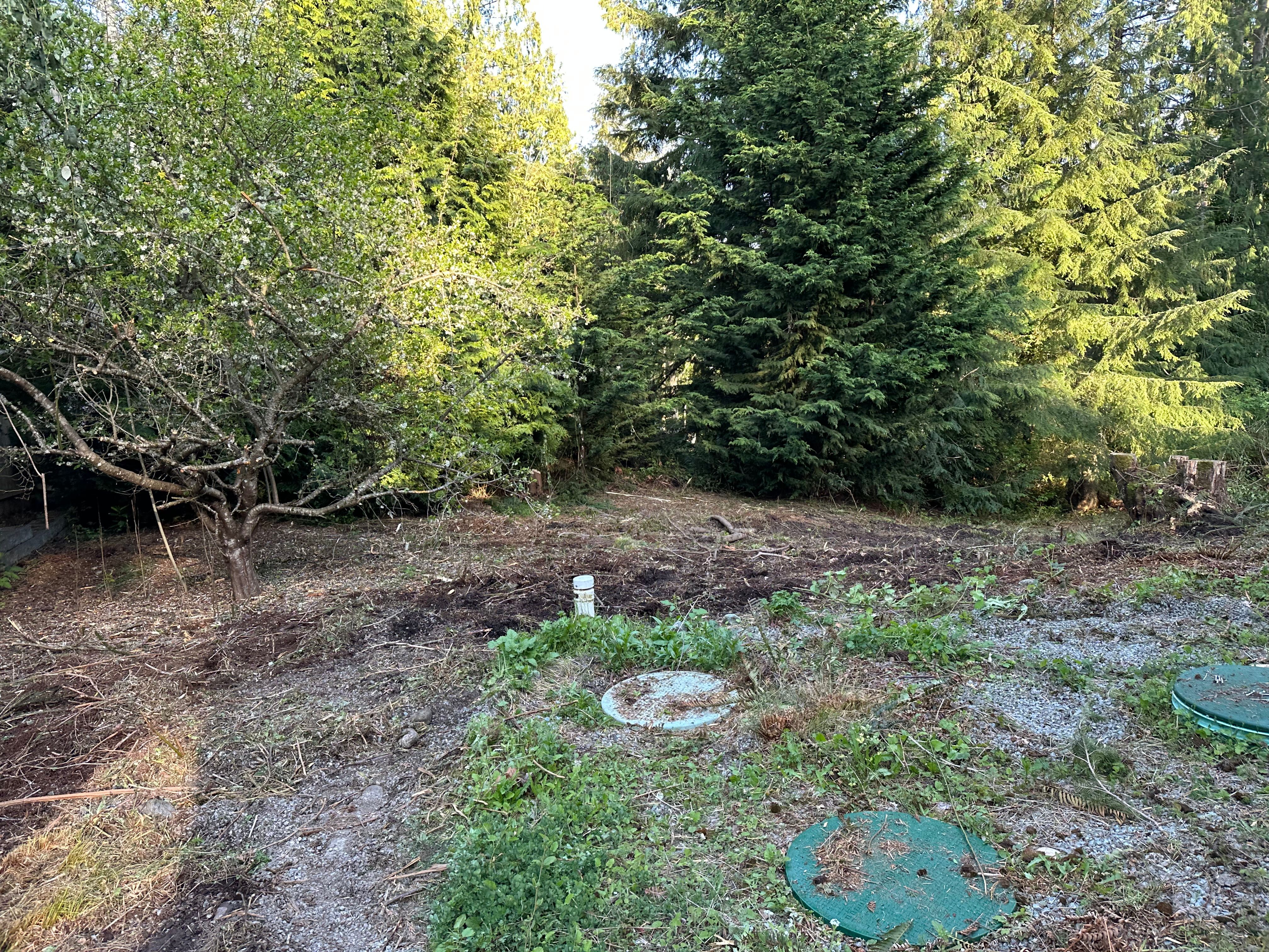  for AR Trucking & Excavation LLC in Stanwood, WA