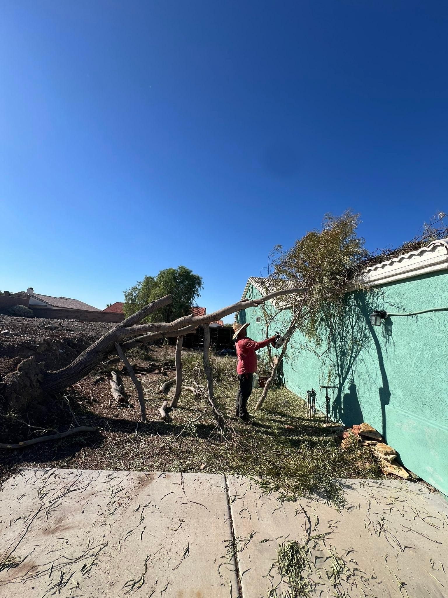  for Top Notch Landscape Services LLC in Mohave Valley, AZ