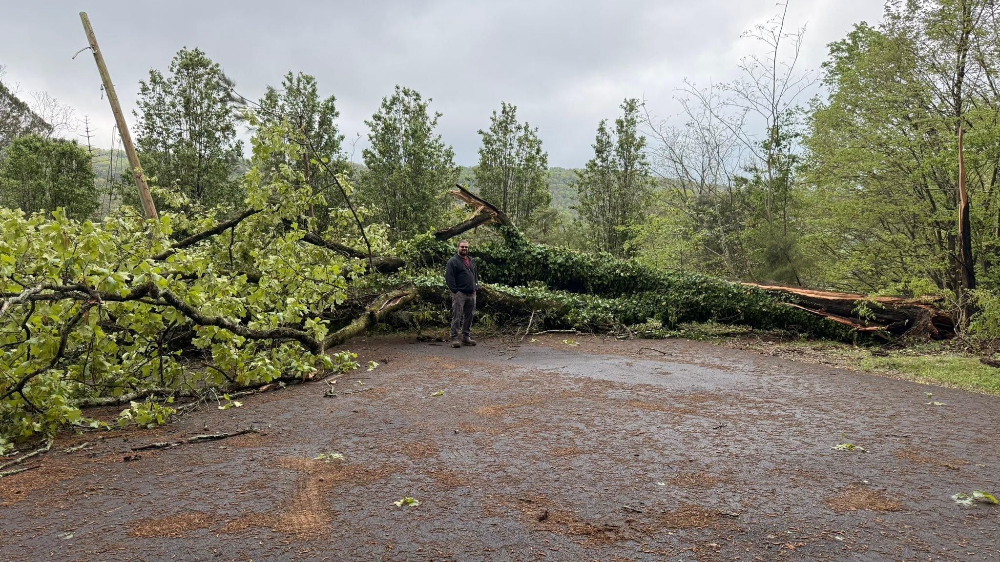  for Chipper's Tree Service  in Fort Payne, AL
