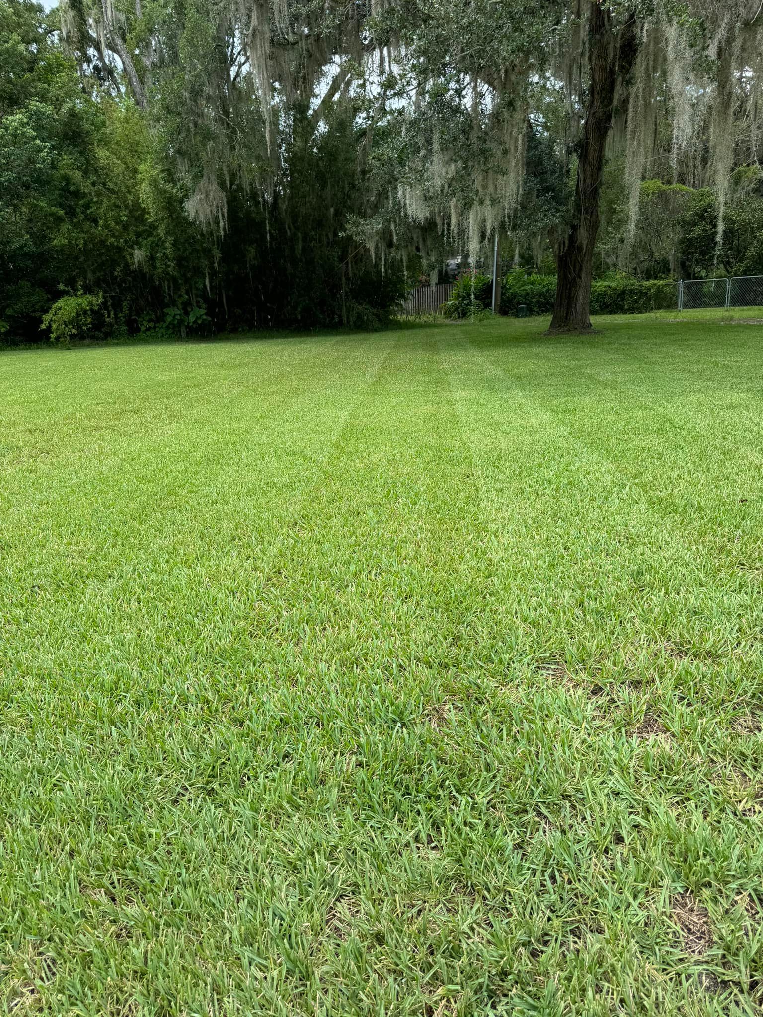 All Photos for Young's Lawn Services LLC in Ocala, FL