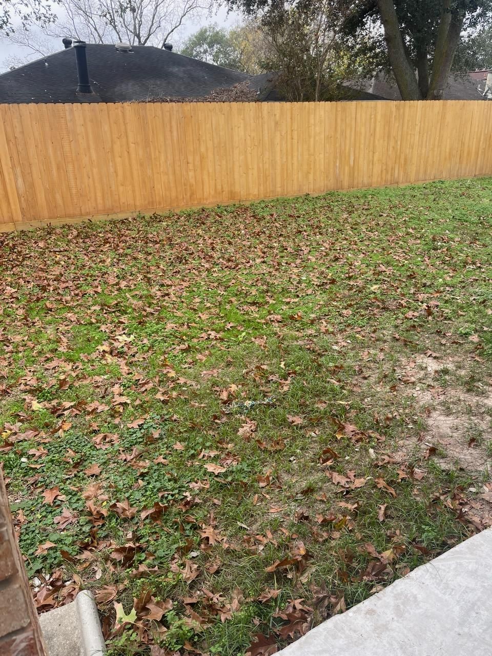  for Servin's Tree Care  in Houston, TX