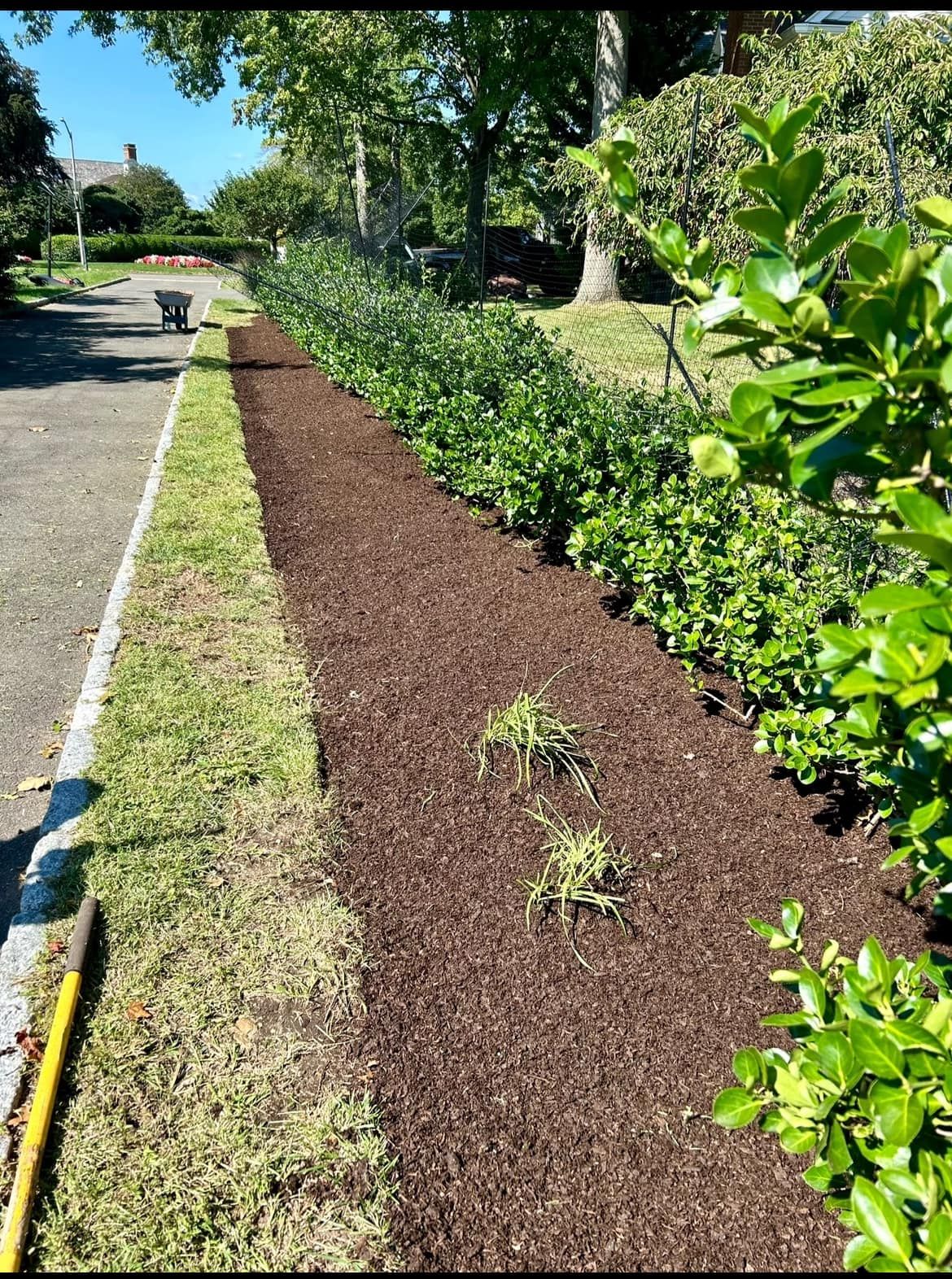  for Jose Gonzalez Landscaping in Stamford, CT