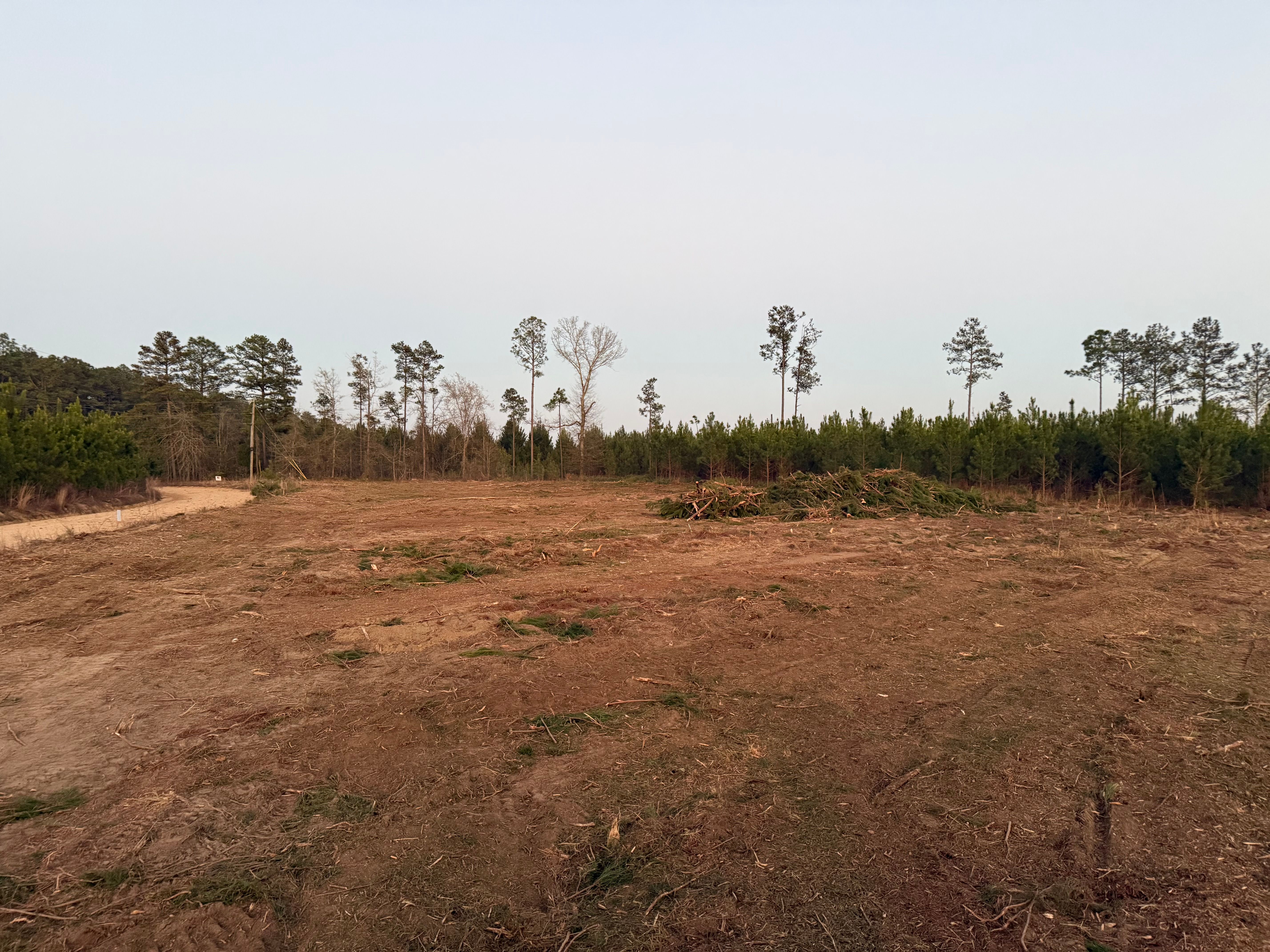  for T N L - Tree and Land Service in Reynolds, GA